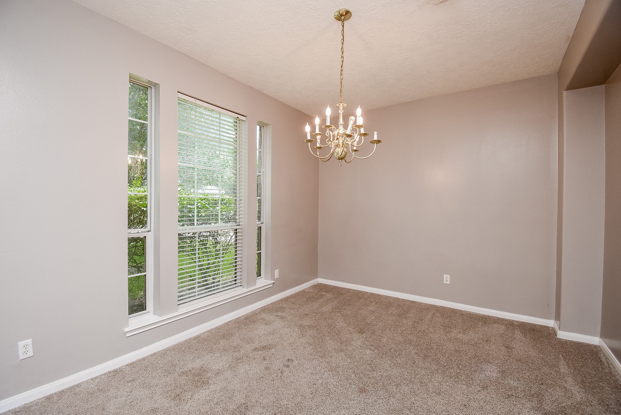 5611 Carta Valley Lane Property Photo 7