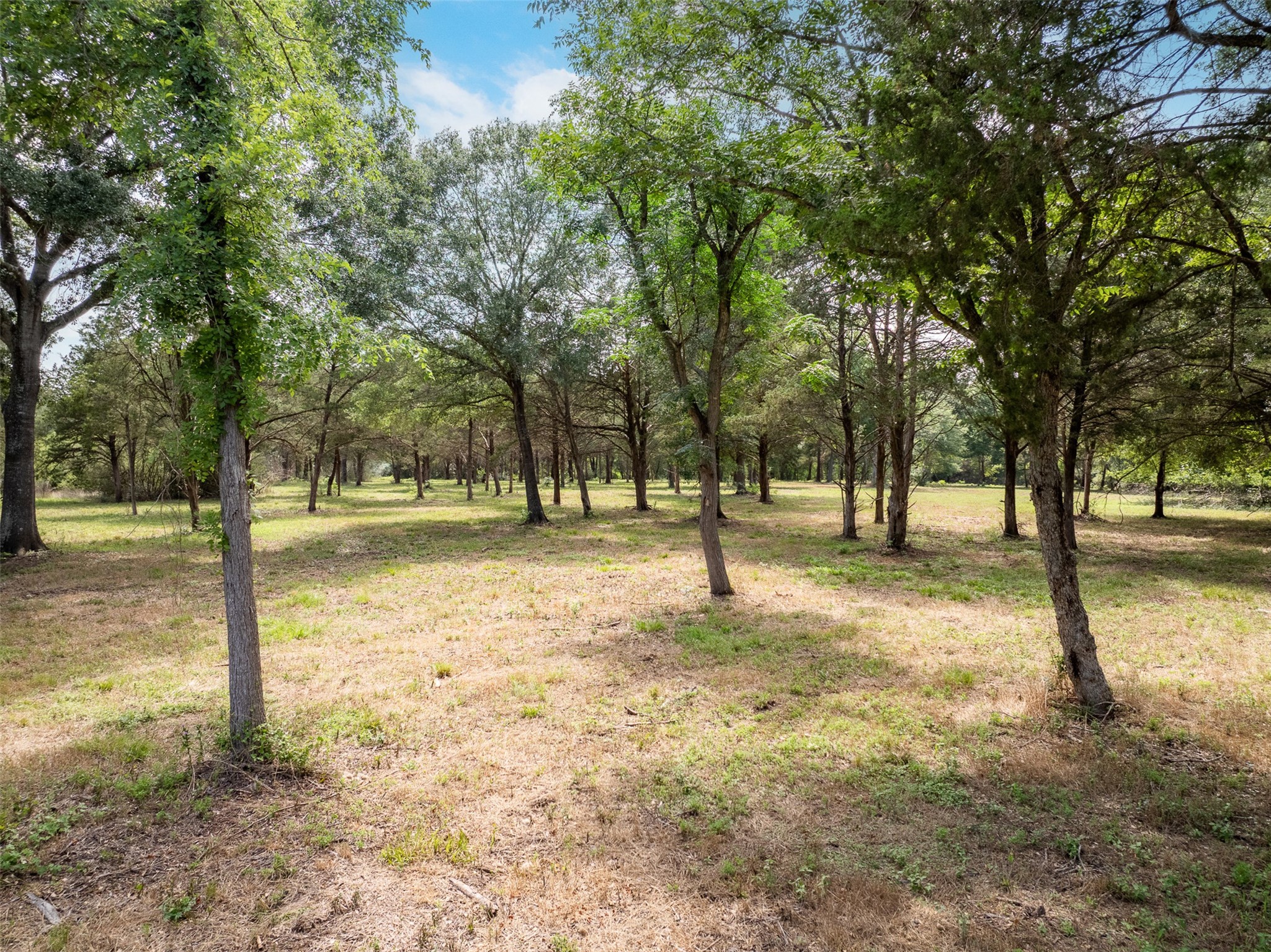 00 Ives Creek Road Property Photo 2