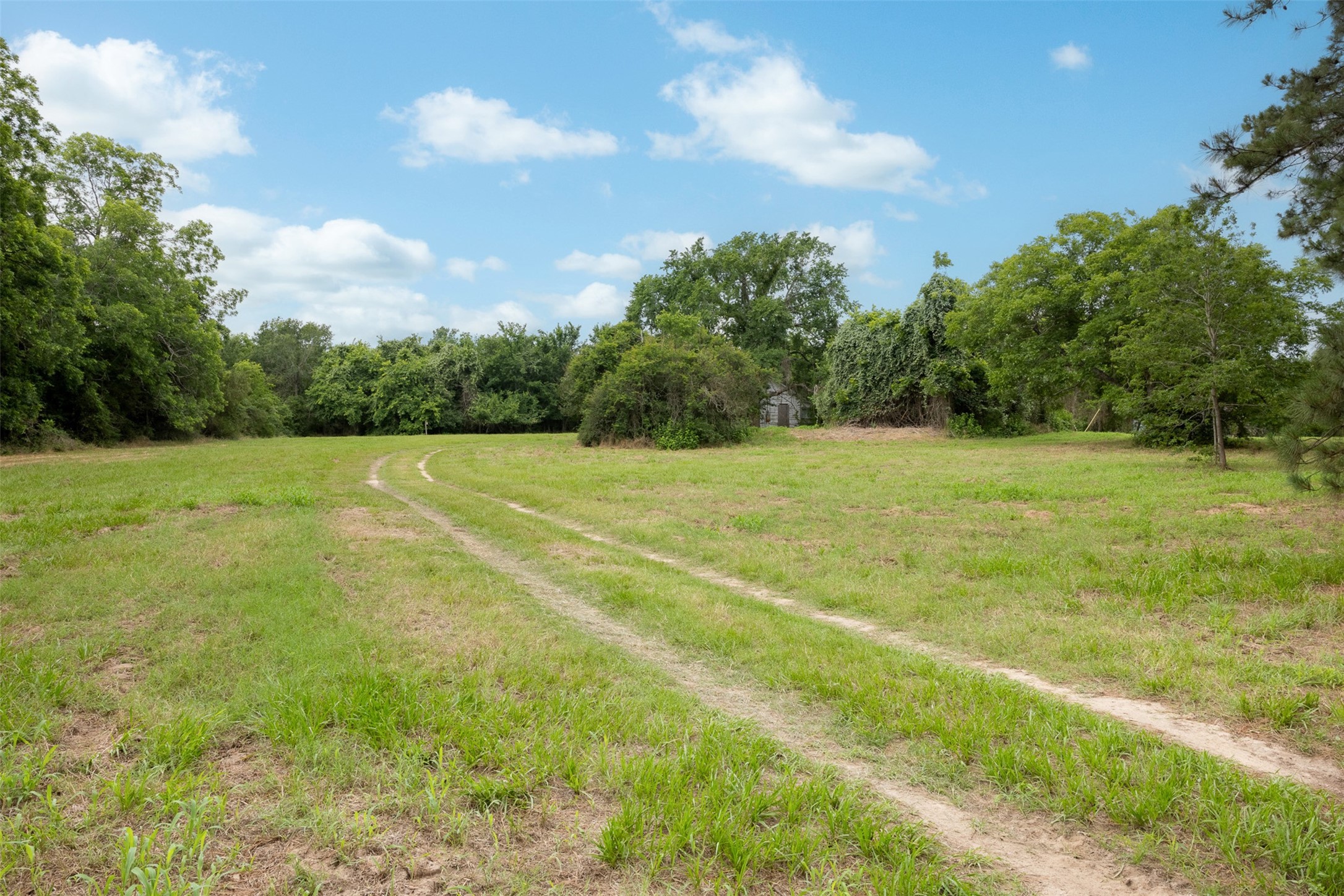 00 Ives Creek Road Property Photo 4