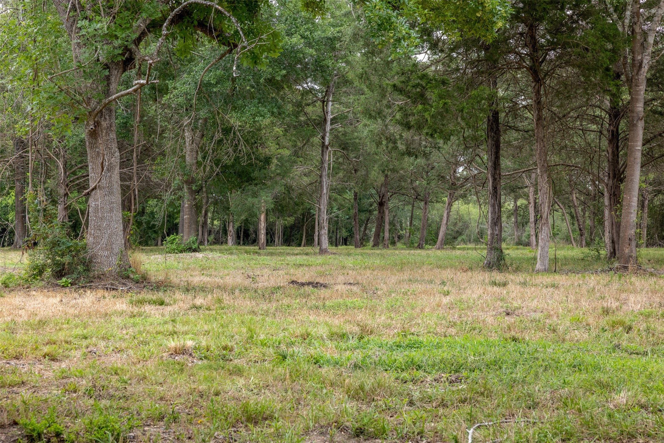 00 Ives Creek Road Property Photo 6