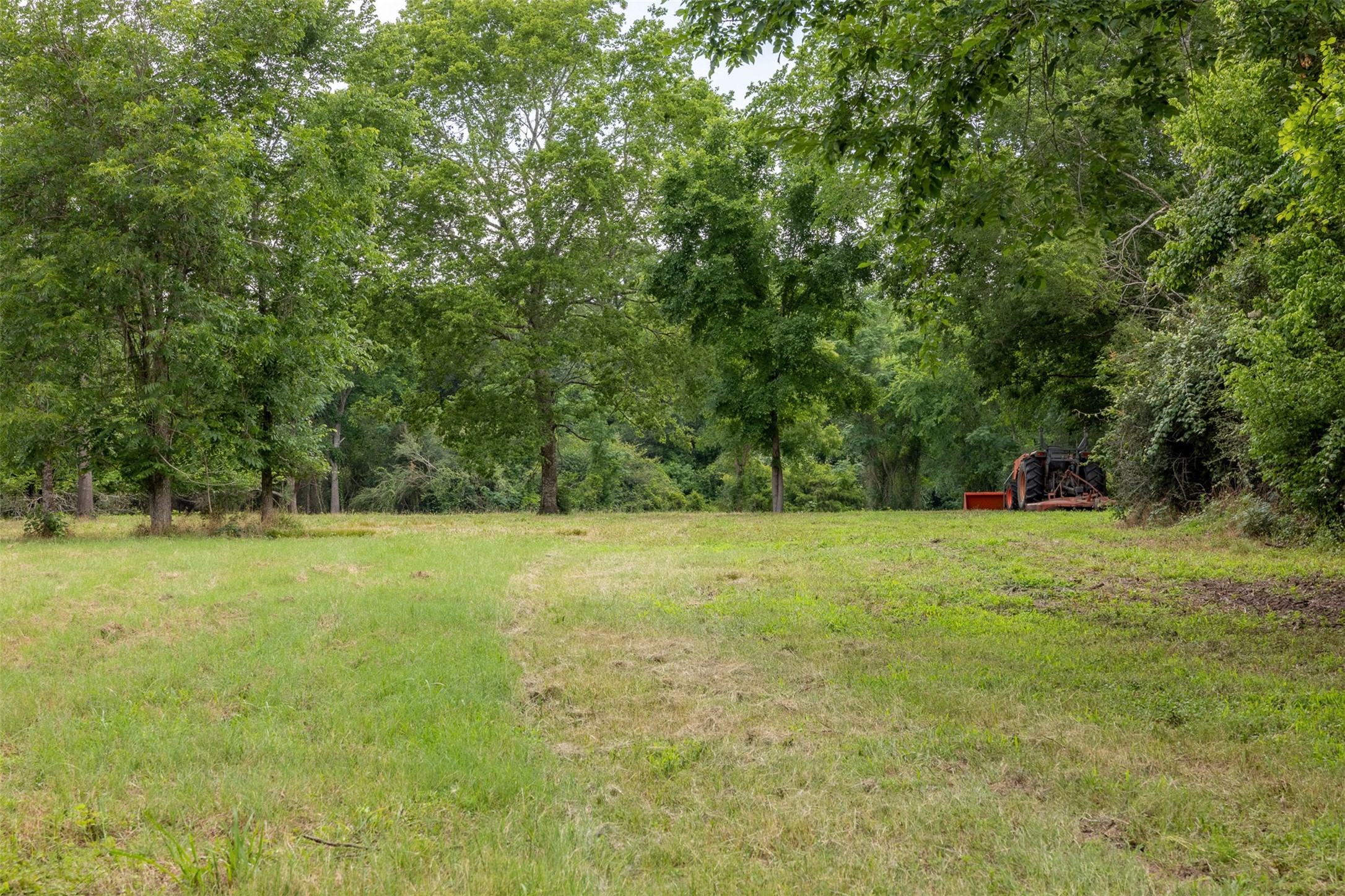 00 Ives Creek Road Property Photo 9