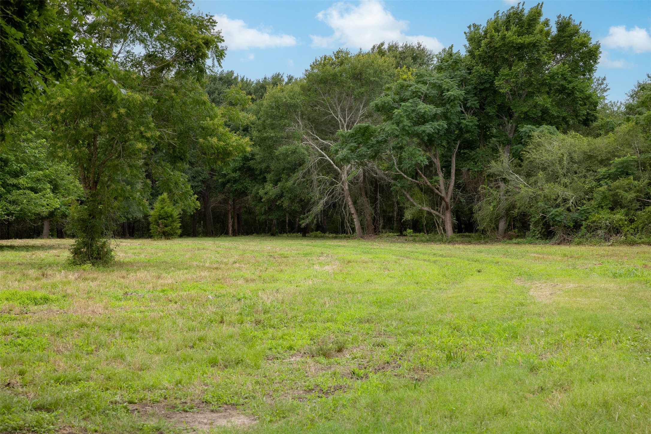 00 Ives Creek Road Property Photo 10