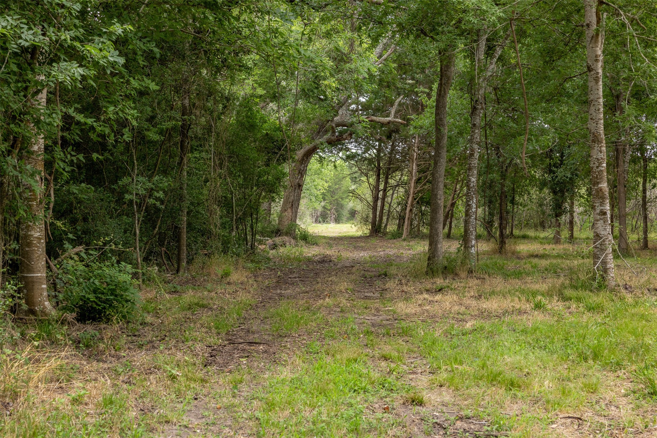 00 Ives Creek Road Property Photo 11