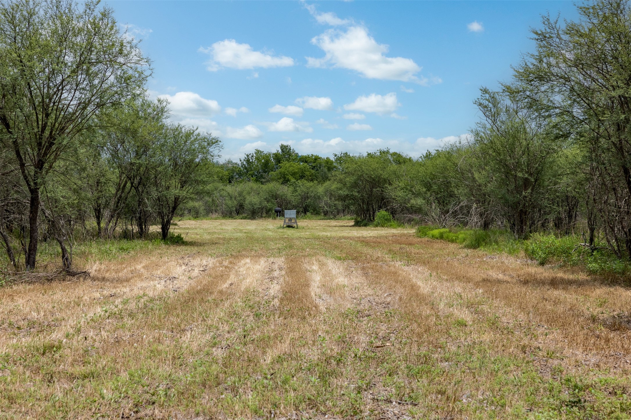 00 Ives Creek Road Property Photo 13