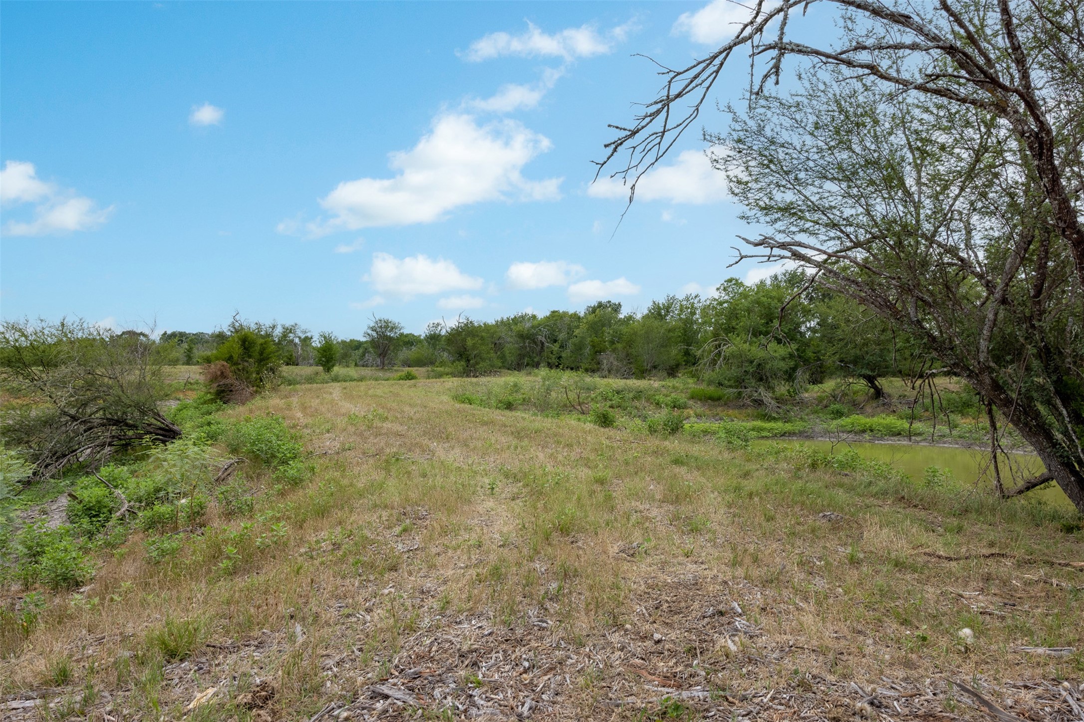 00 Ives Creek Road Property Photo 16