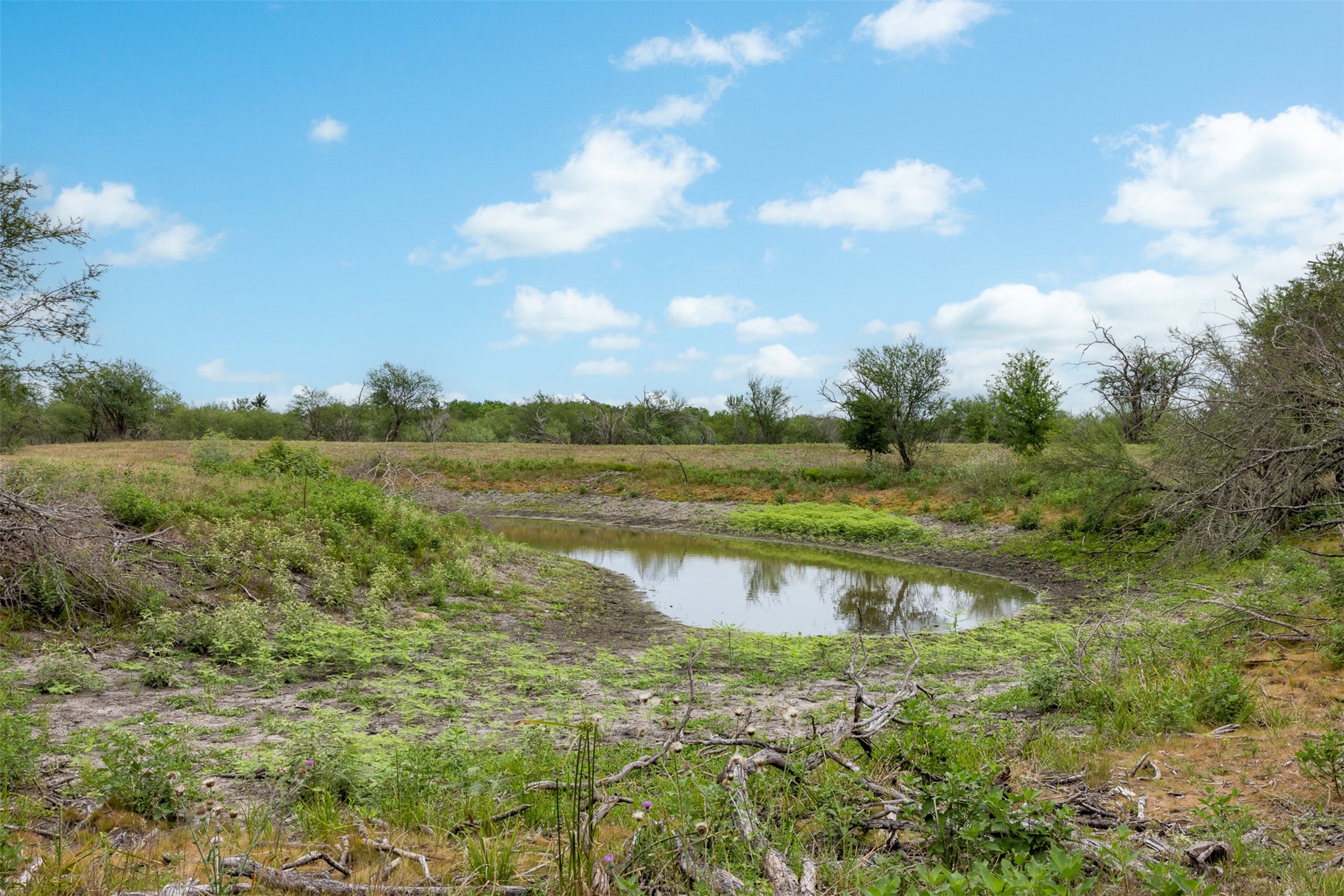 00 Ives Creek Road Property Photo 19
