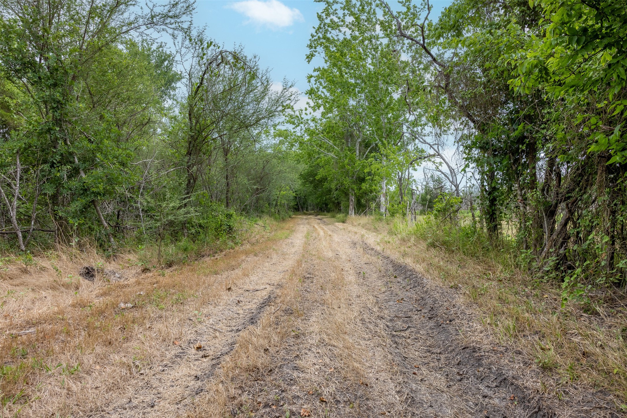00 Ives Creek Road Property Photo 22