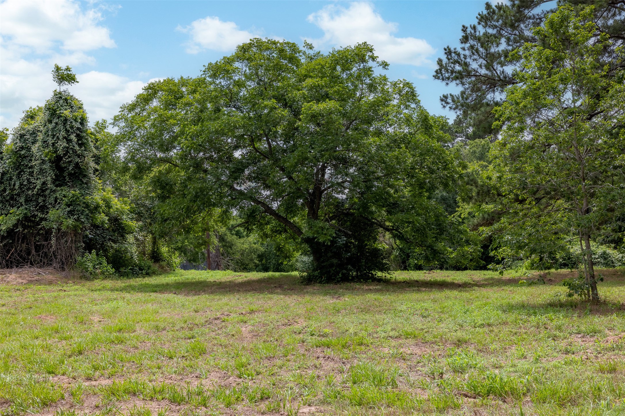 00 Ives Creek Road Property Photo 25
