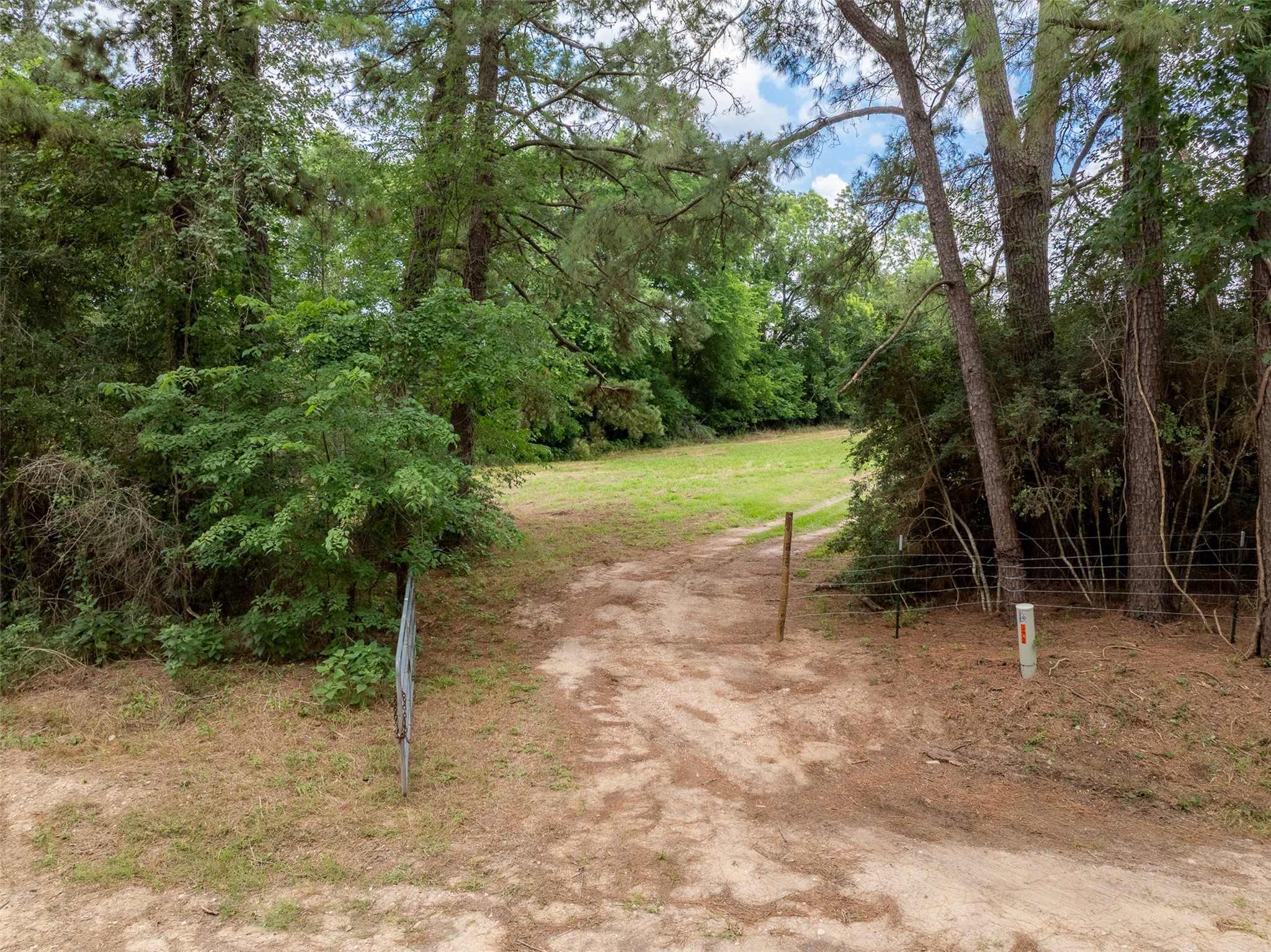 00 Ives Creek Road Property Photo 27