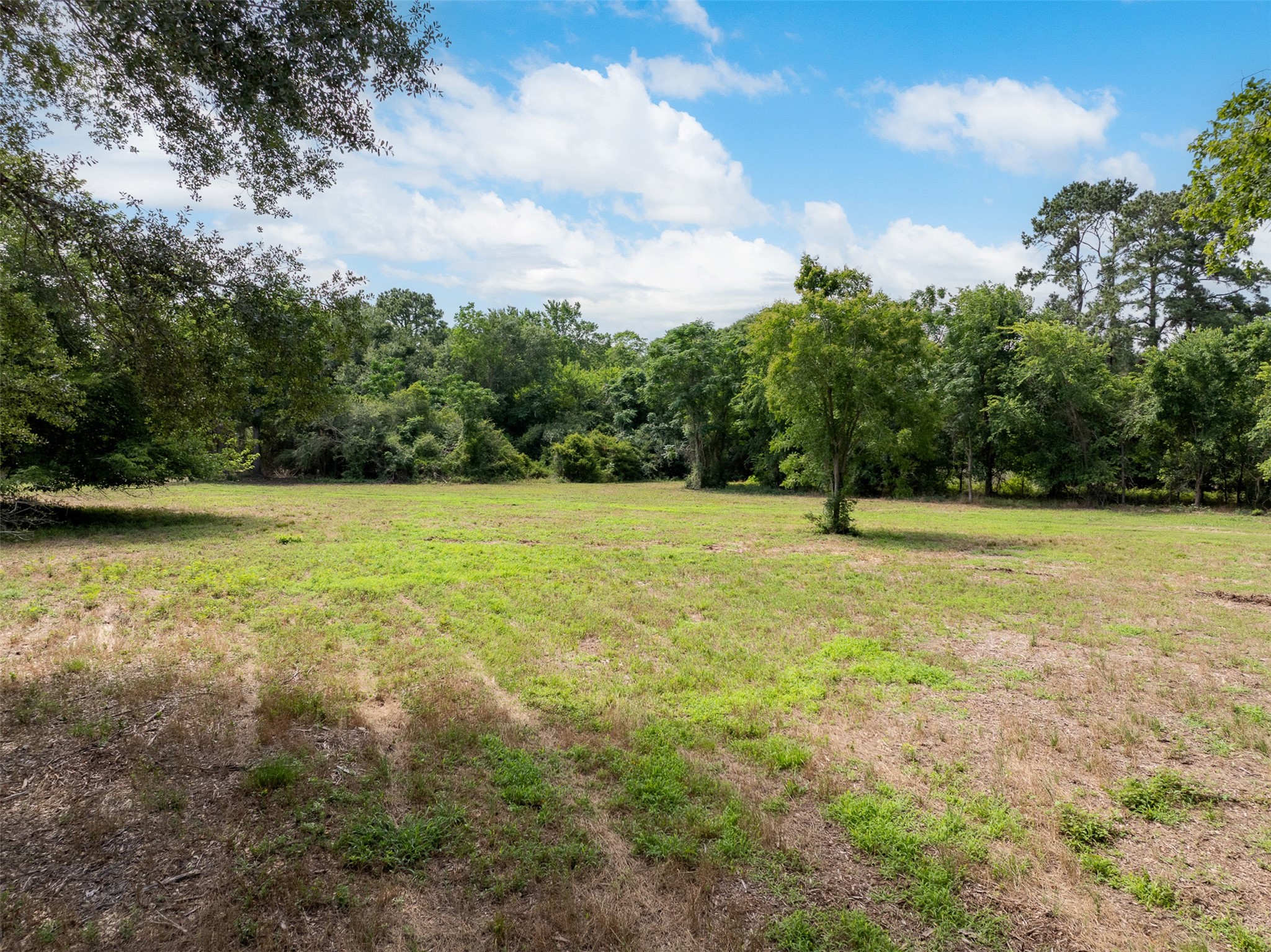00 Ives Creek Road Property Photo 33