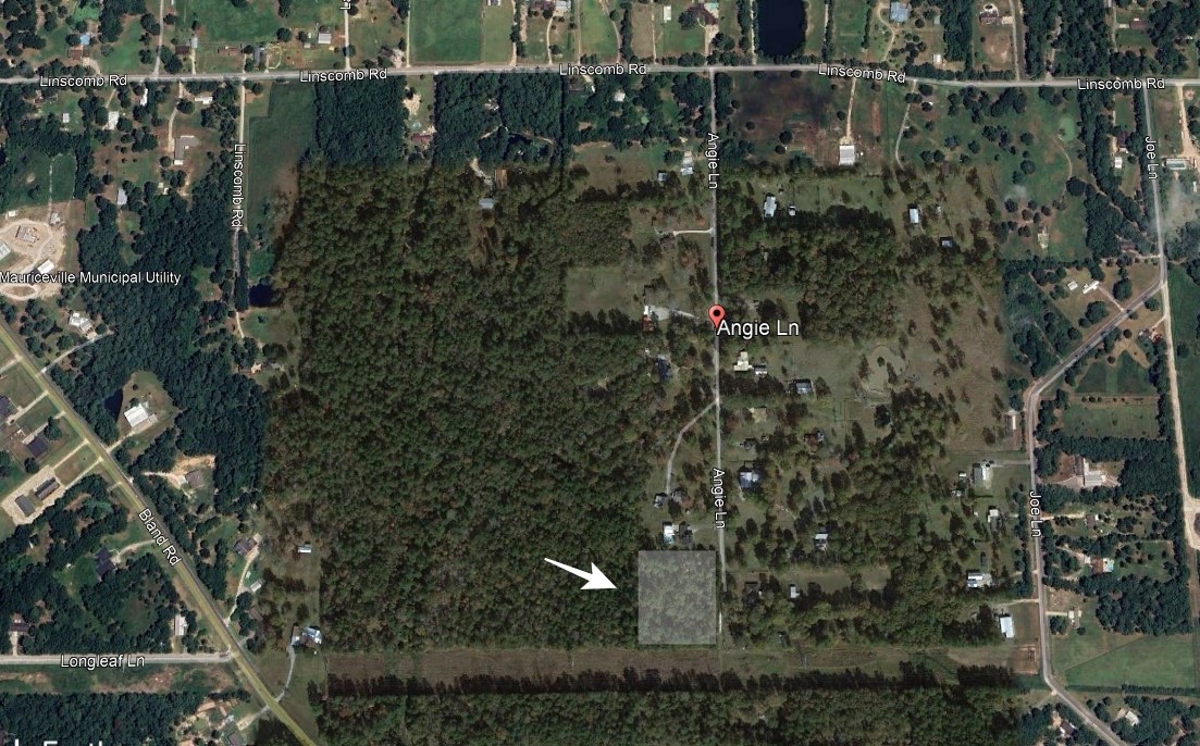 000 Angie Lane Property Photo 1