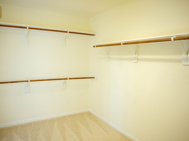 10007 Shire Green Lane Property Photo 11