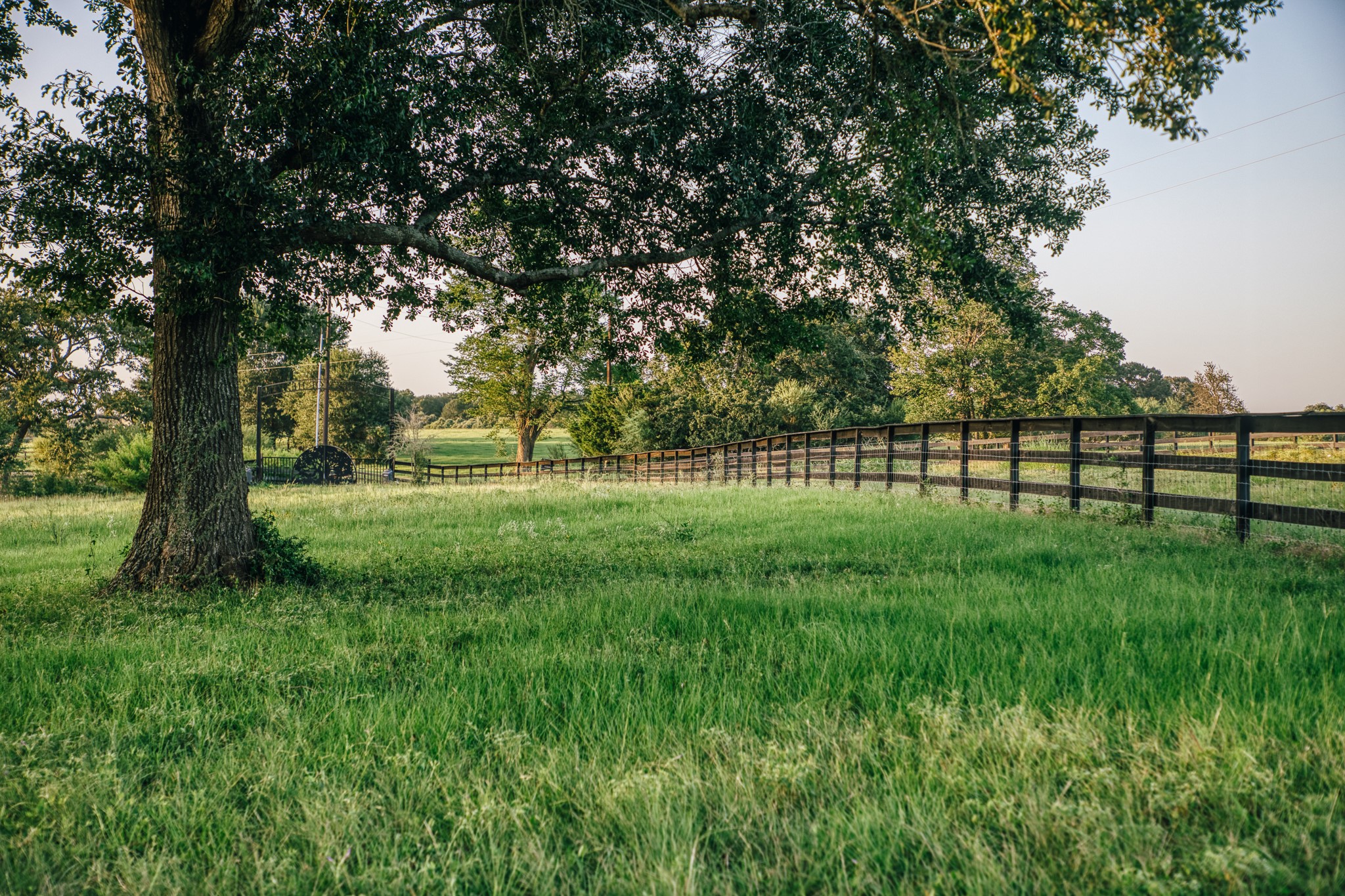 8321 Equestrian Lane Property Photo 5