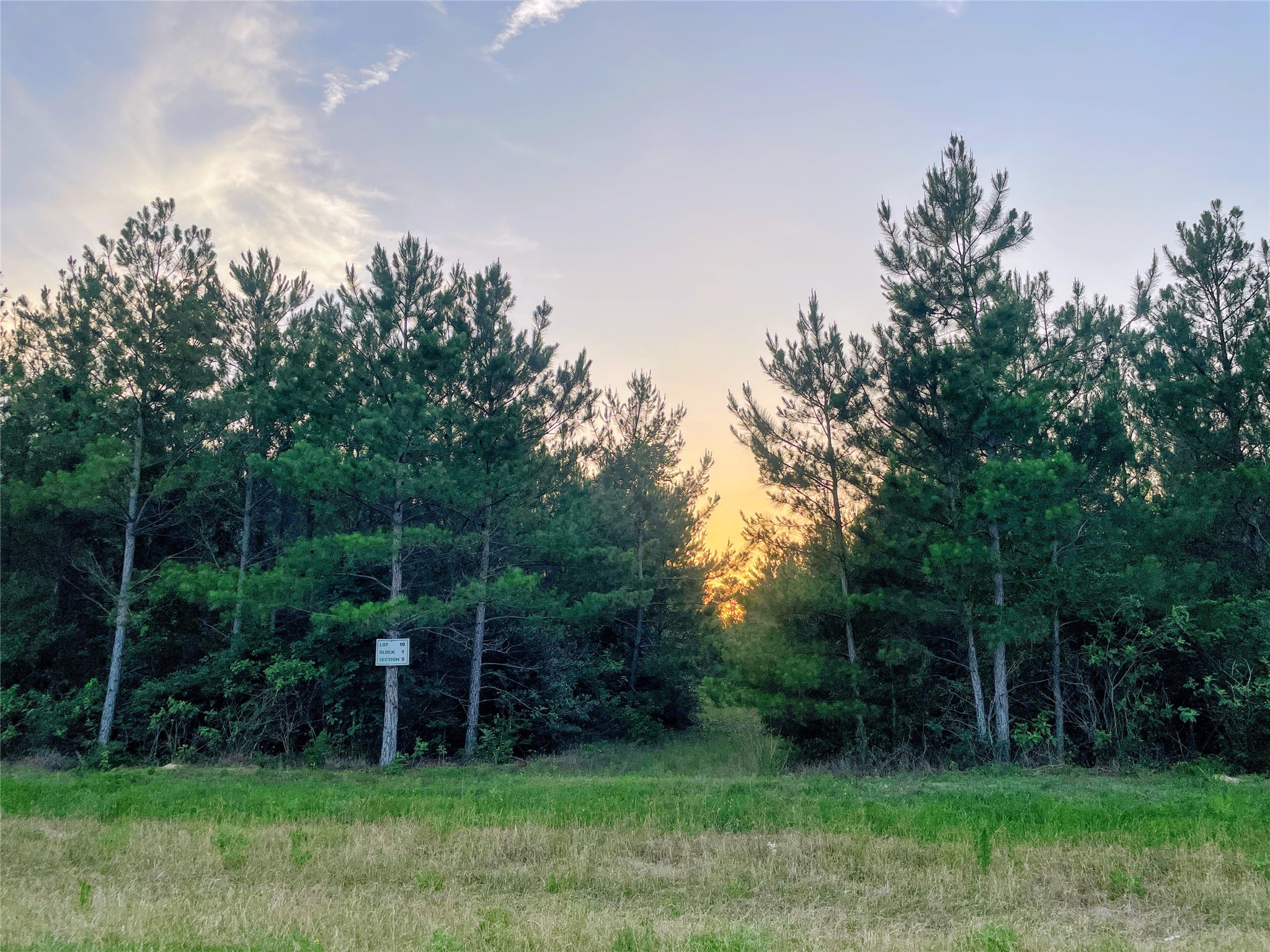 15705 Ridge Rock Road Property Photo 3