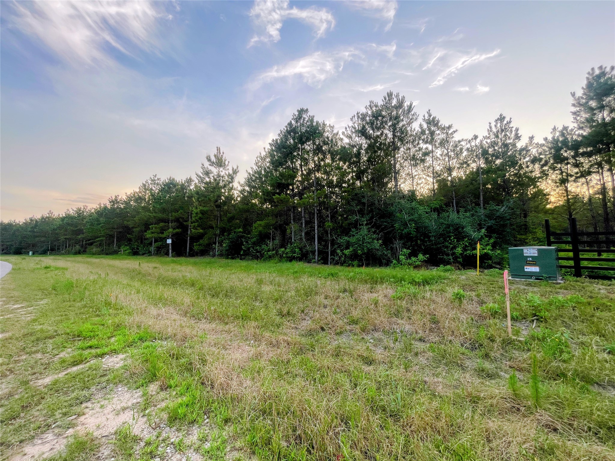 15705 Ridge Rock Road Property Photo 6