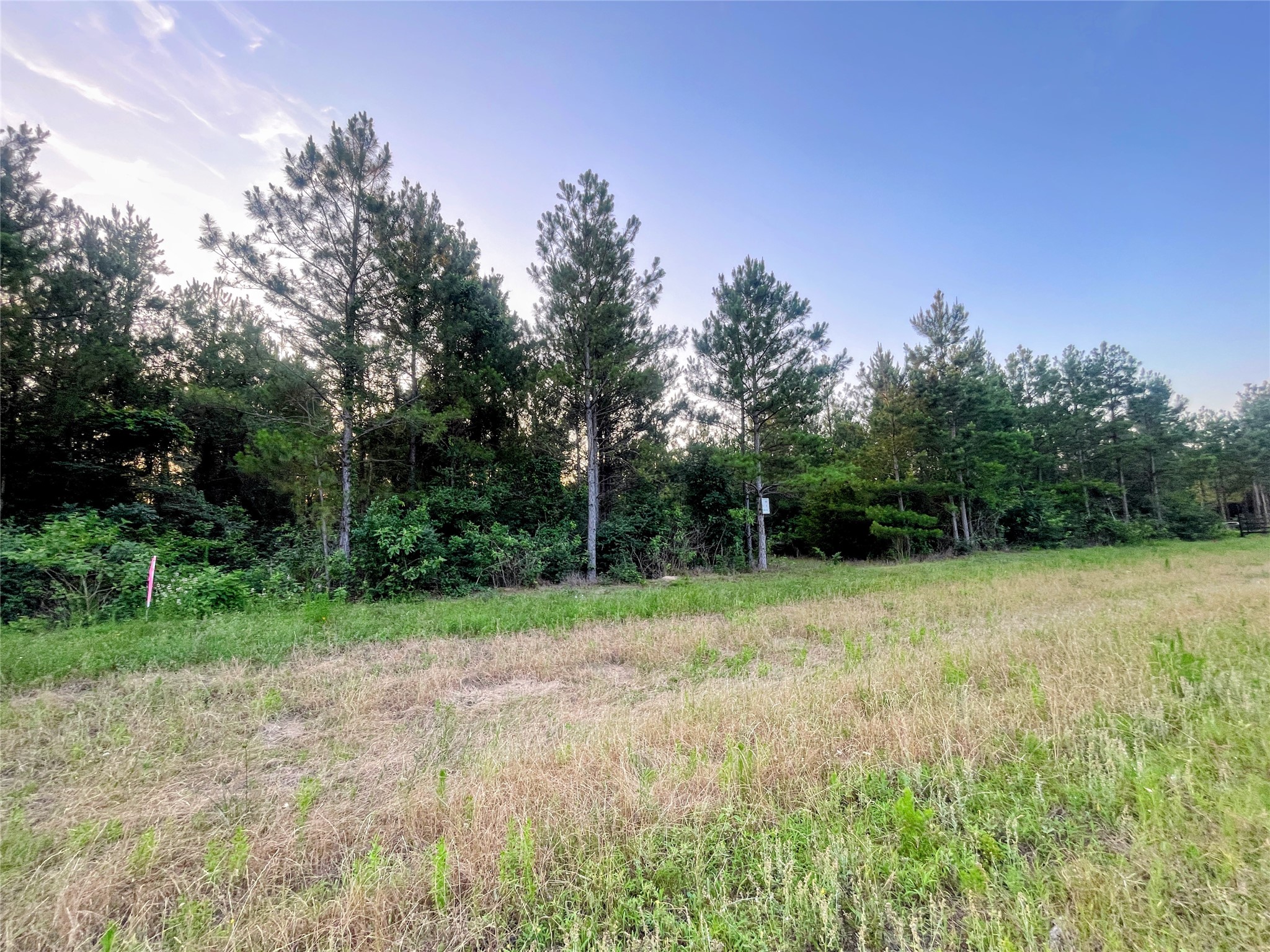 15705 Ridge Rock Road Property Photo 7