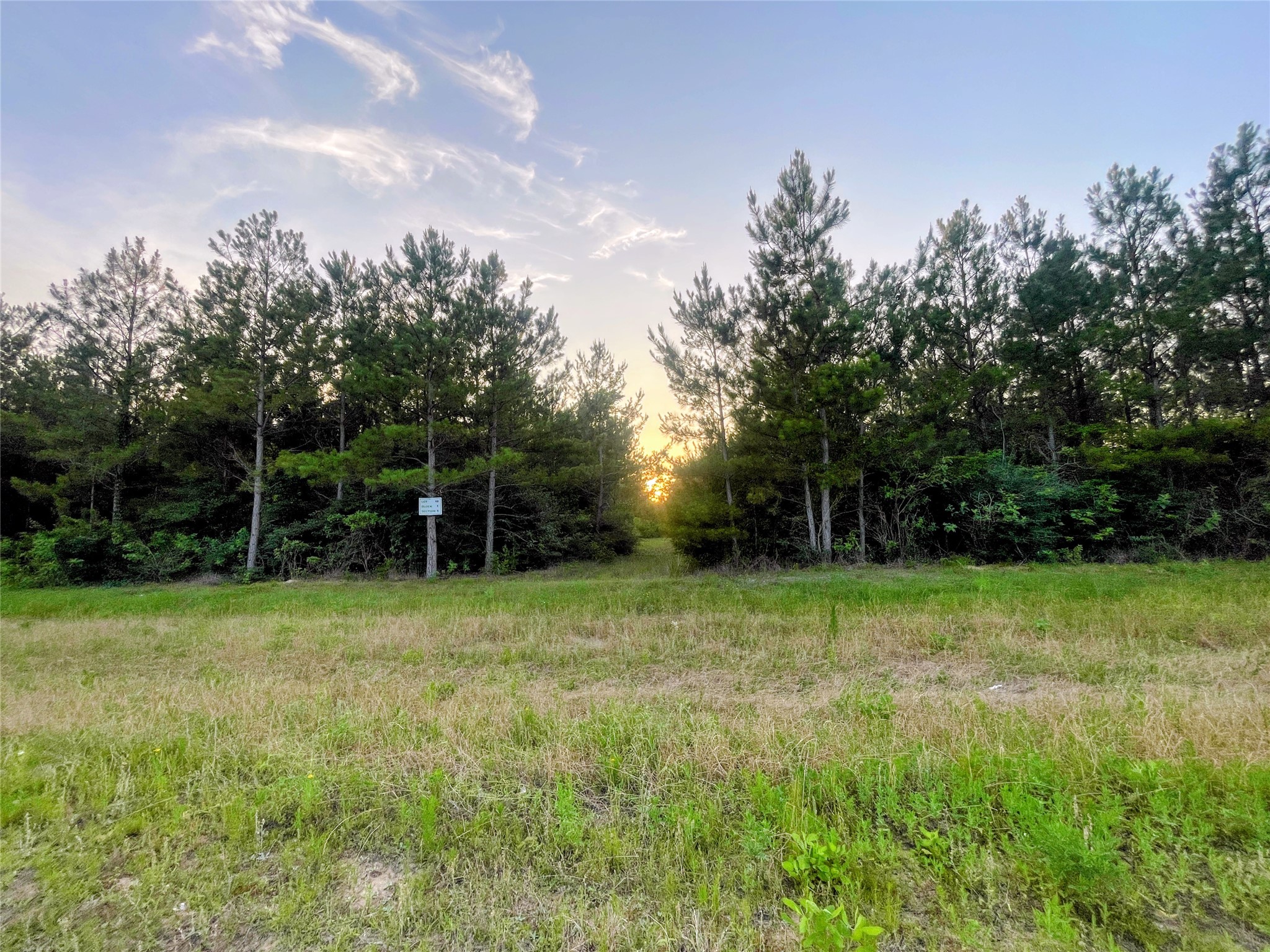 15705 Ridge Rock Road Property Photo 8