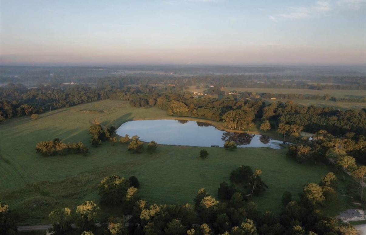 15705 Ridge Rock Road Property Photo 13