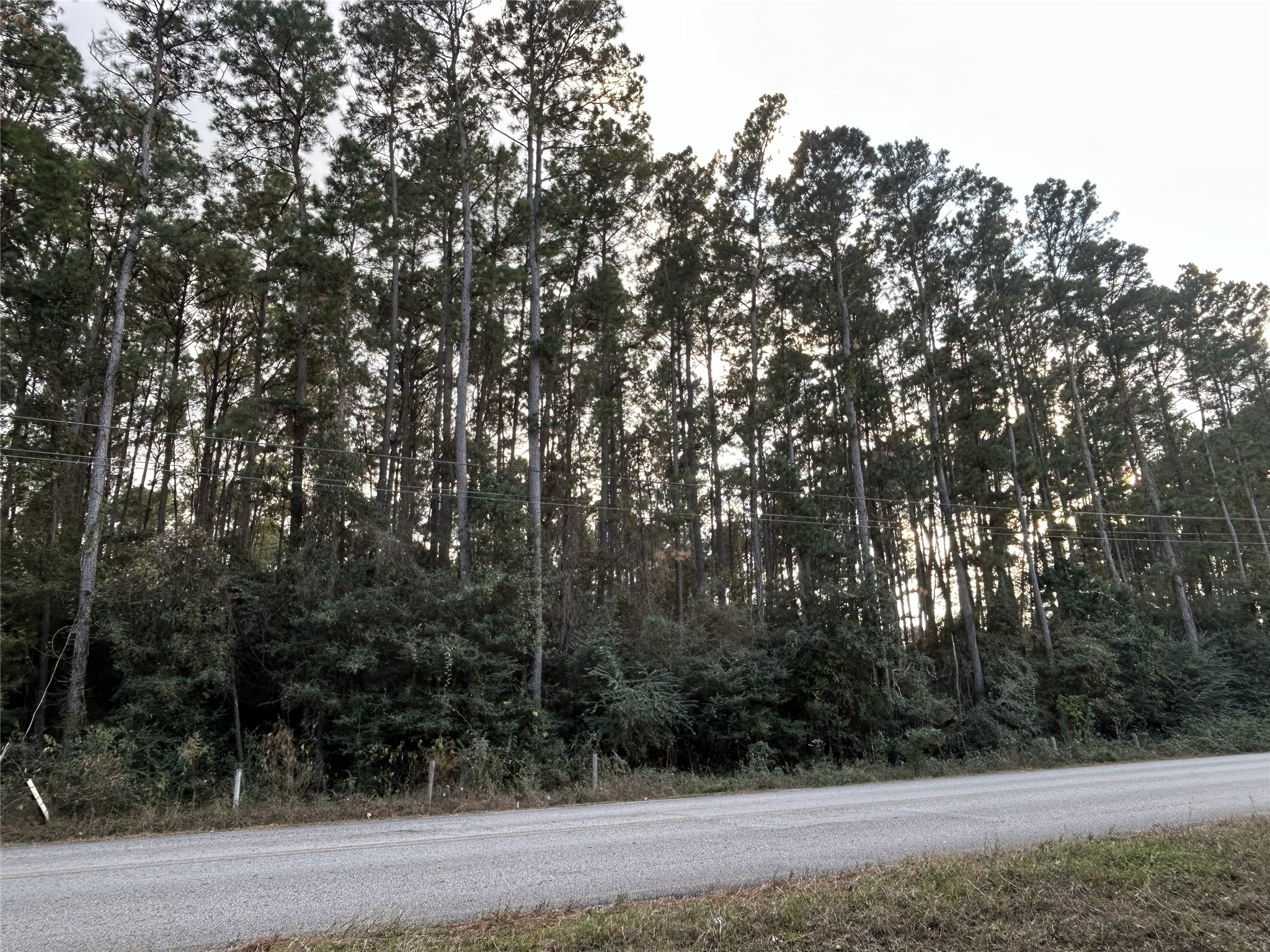 28655 Joseph Road Property Photo 2