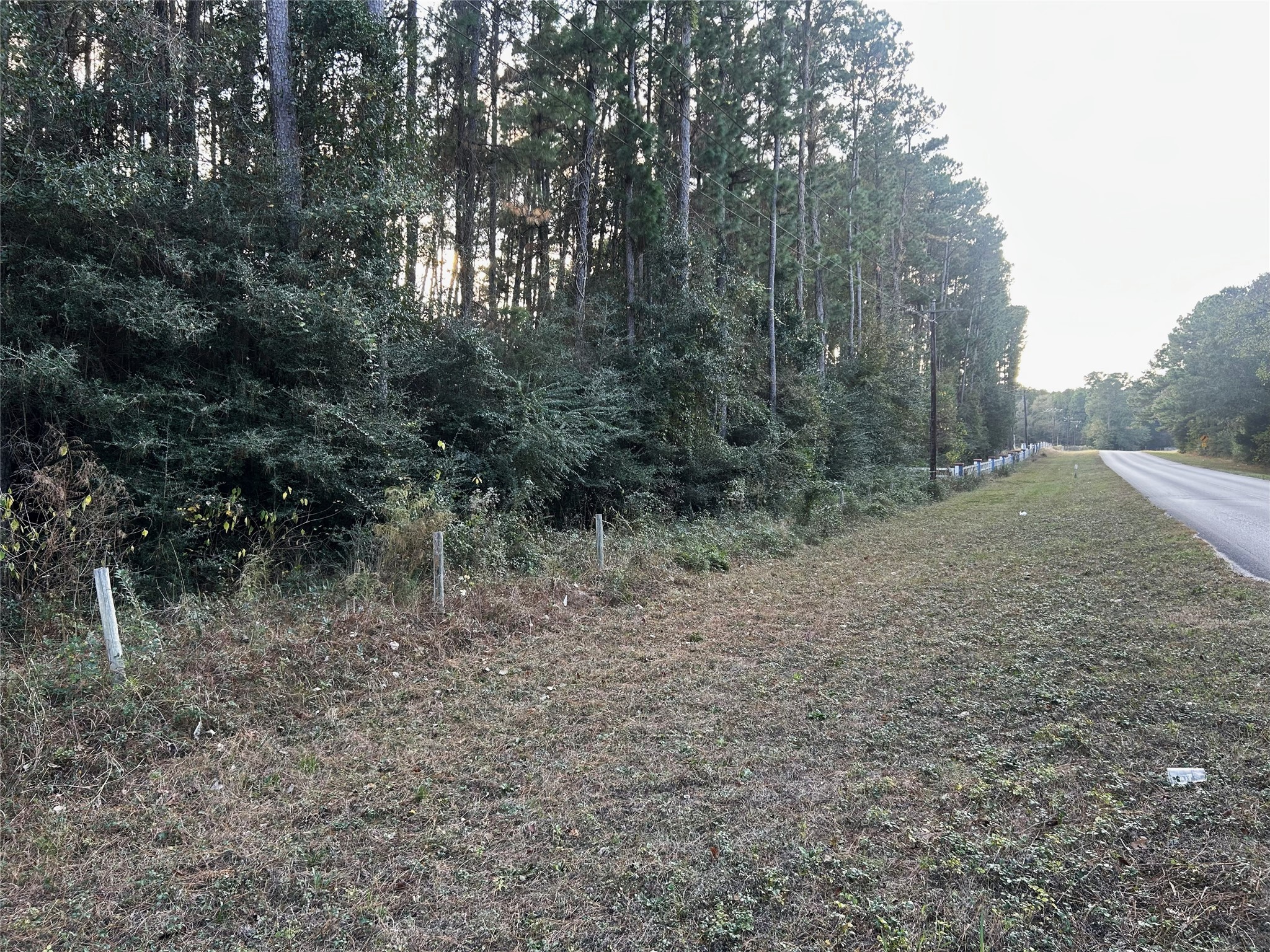 28655 Joseph Road Property Photo 4