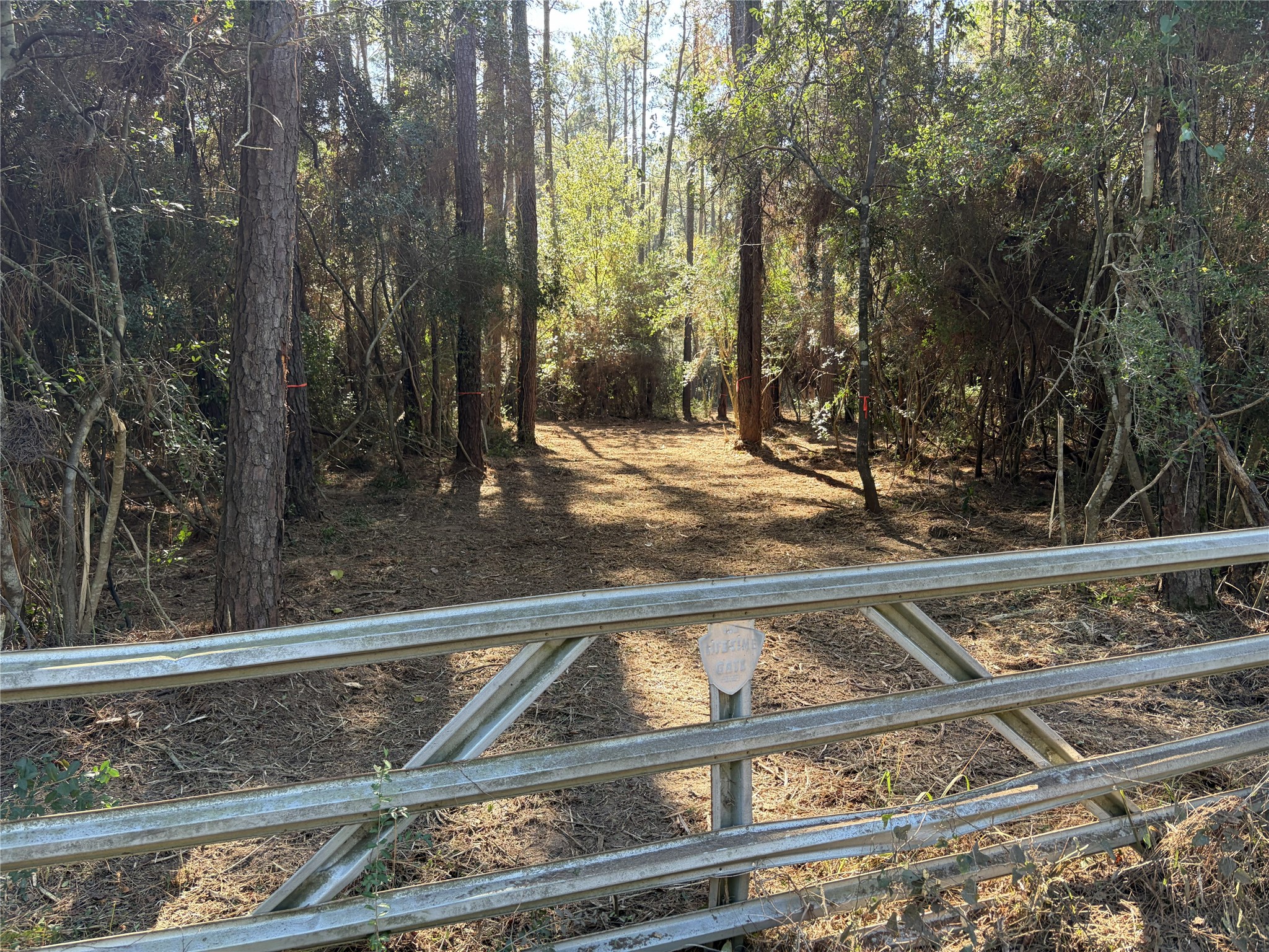 28655 Joseph Road Property Photo 6