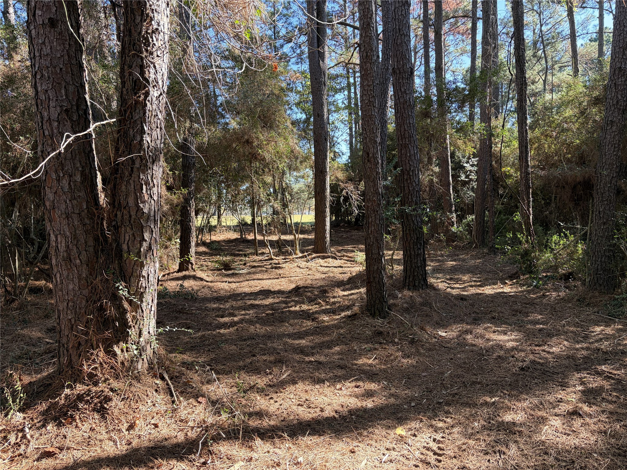 28655 Joseph Road Property Photo 8
