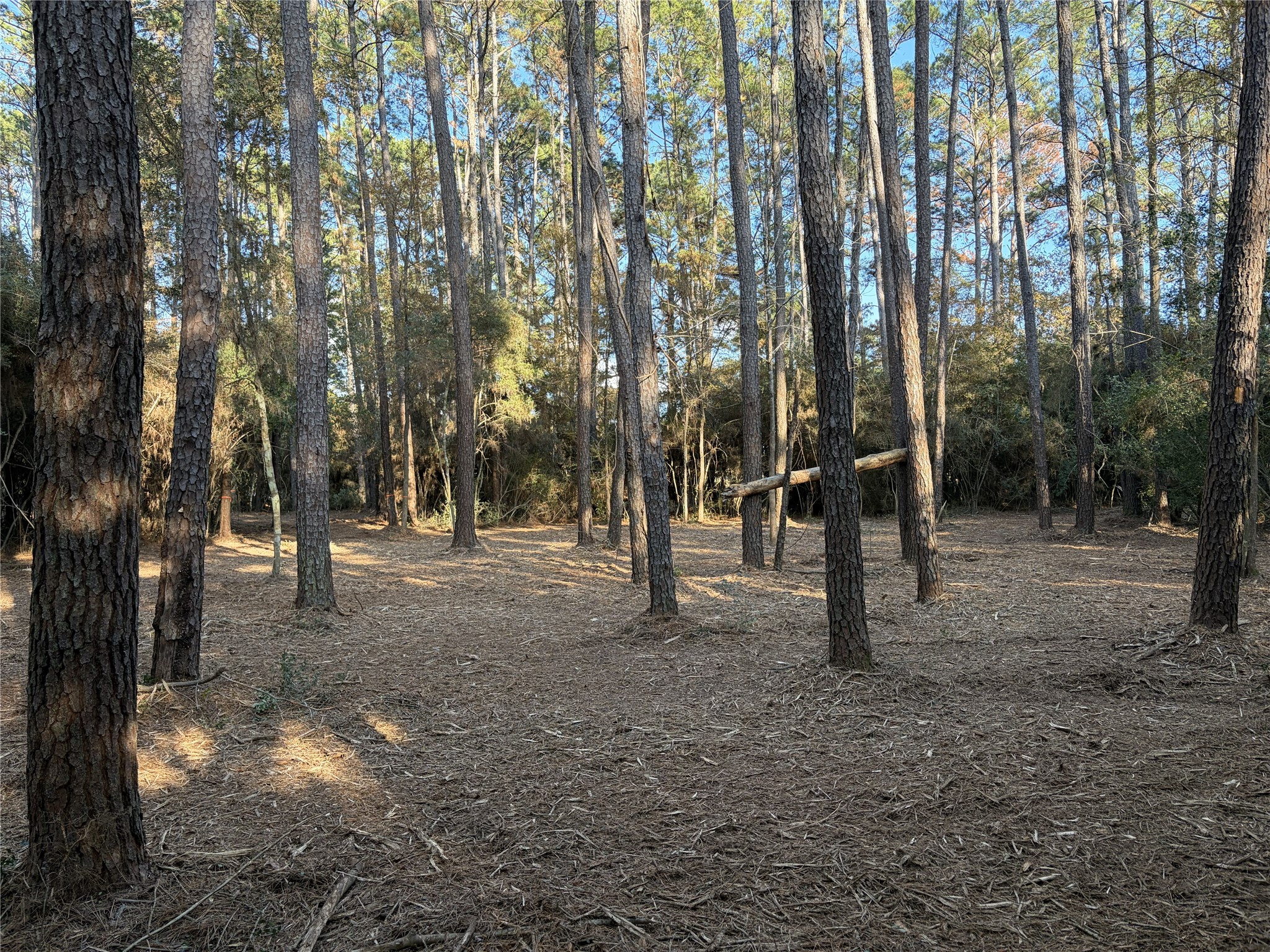 28655 Joseph Road Property Photo 12