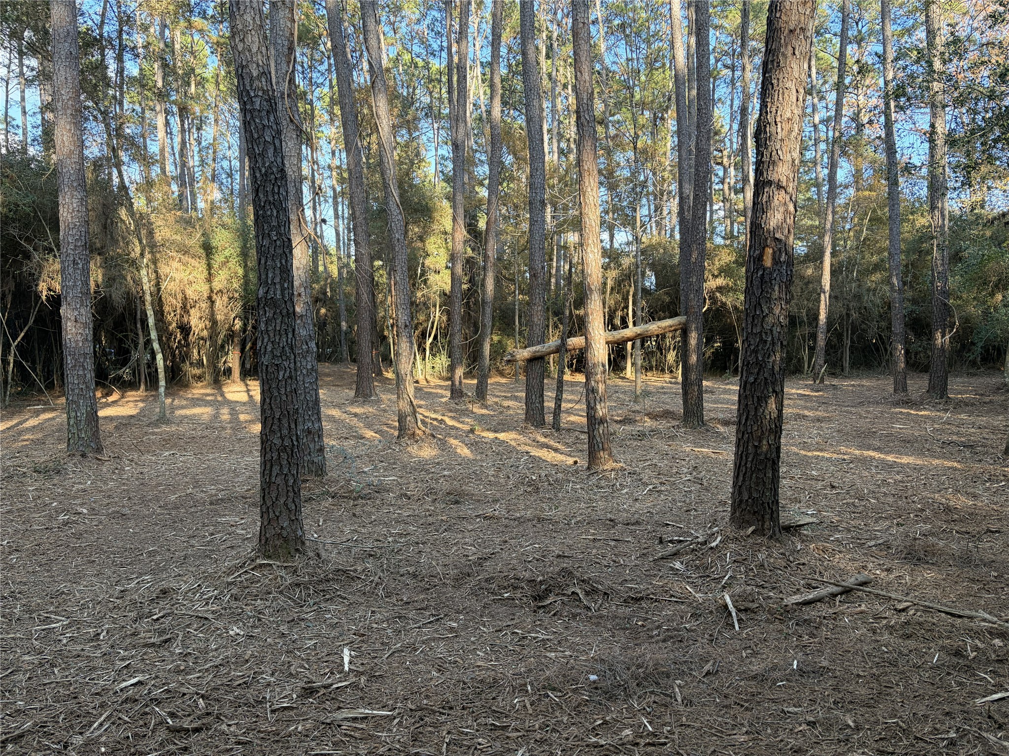 28655 Joseph Road Property Photo 13