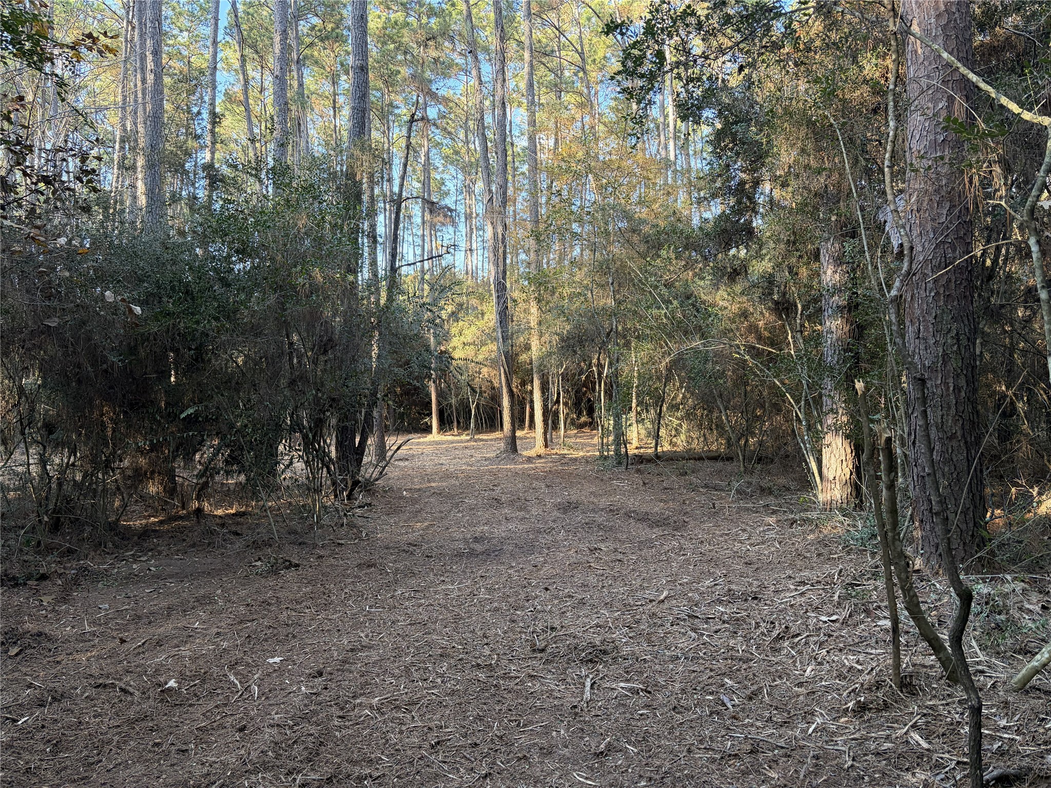 28655 Joseph Road Property Photo 15