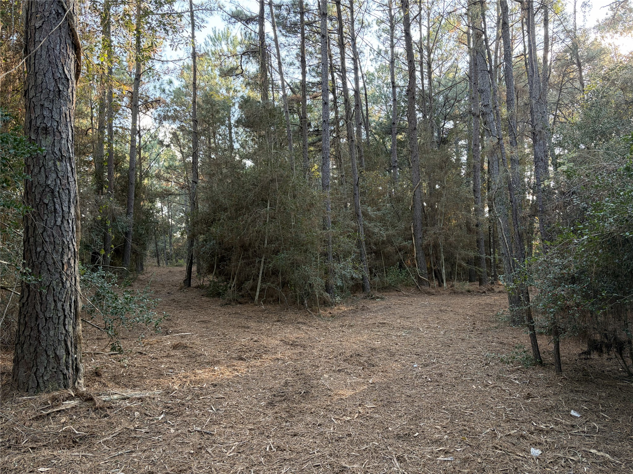 28655 Joseph Road Property Photo 16