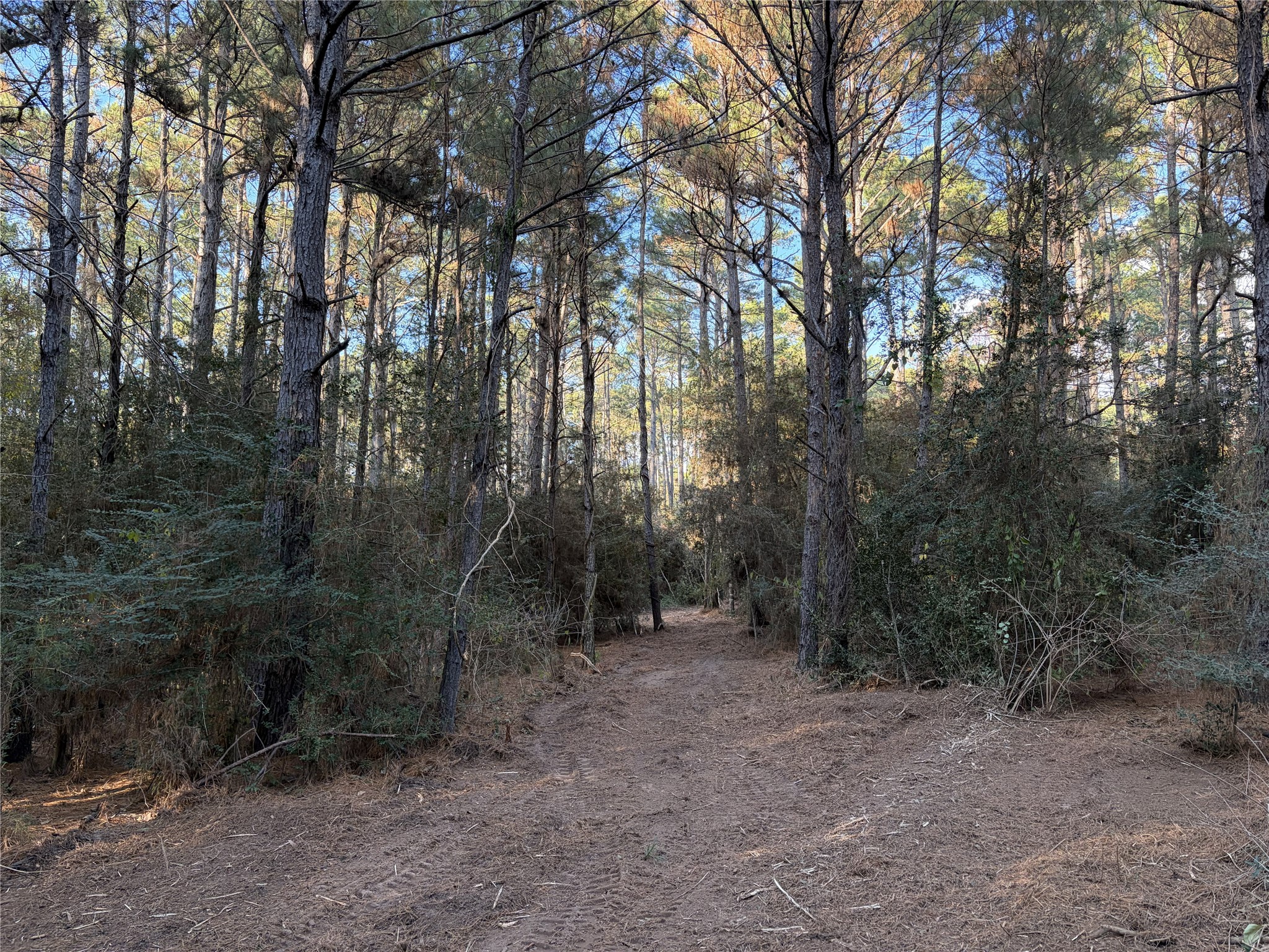 28655 Joseph Road Property Photo 20