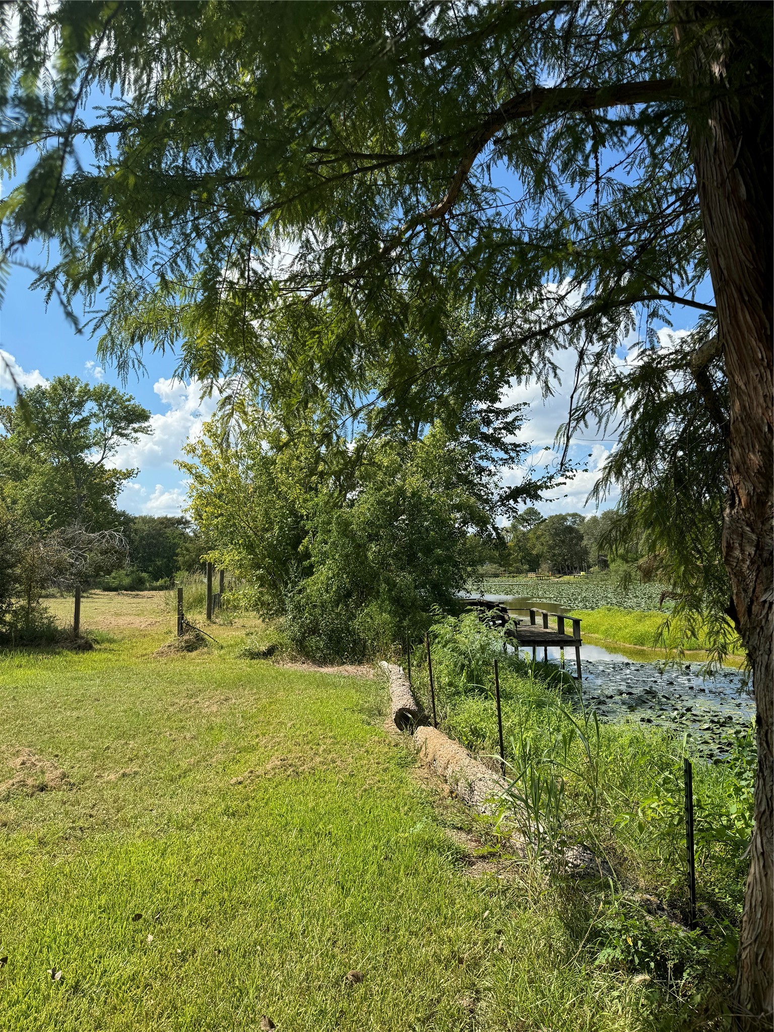 38056 S Bonnie Lake Drive Property Photo 9