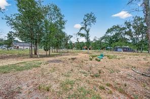 38056 S Bonnie Lake Drive Property Photo 11