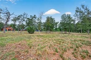 38056 S Bonnie Lake Drive Property Photo 12