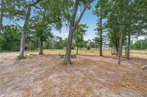 38056 S Bonnie Lake Drive Property Photo 15