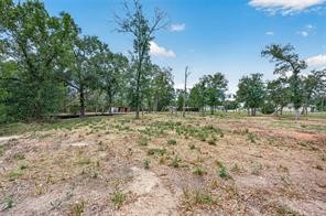 38056 S Bonnie Lake Drive Property Photo 19