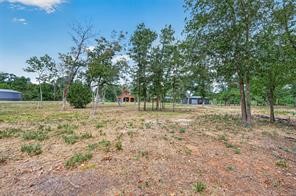 38056 S Bonnie Lake Drive Property Photo 21