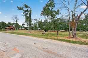 38056 S Bonnie Lake Drive Property Photo 22