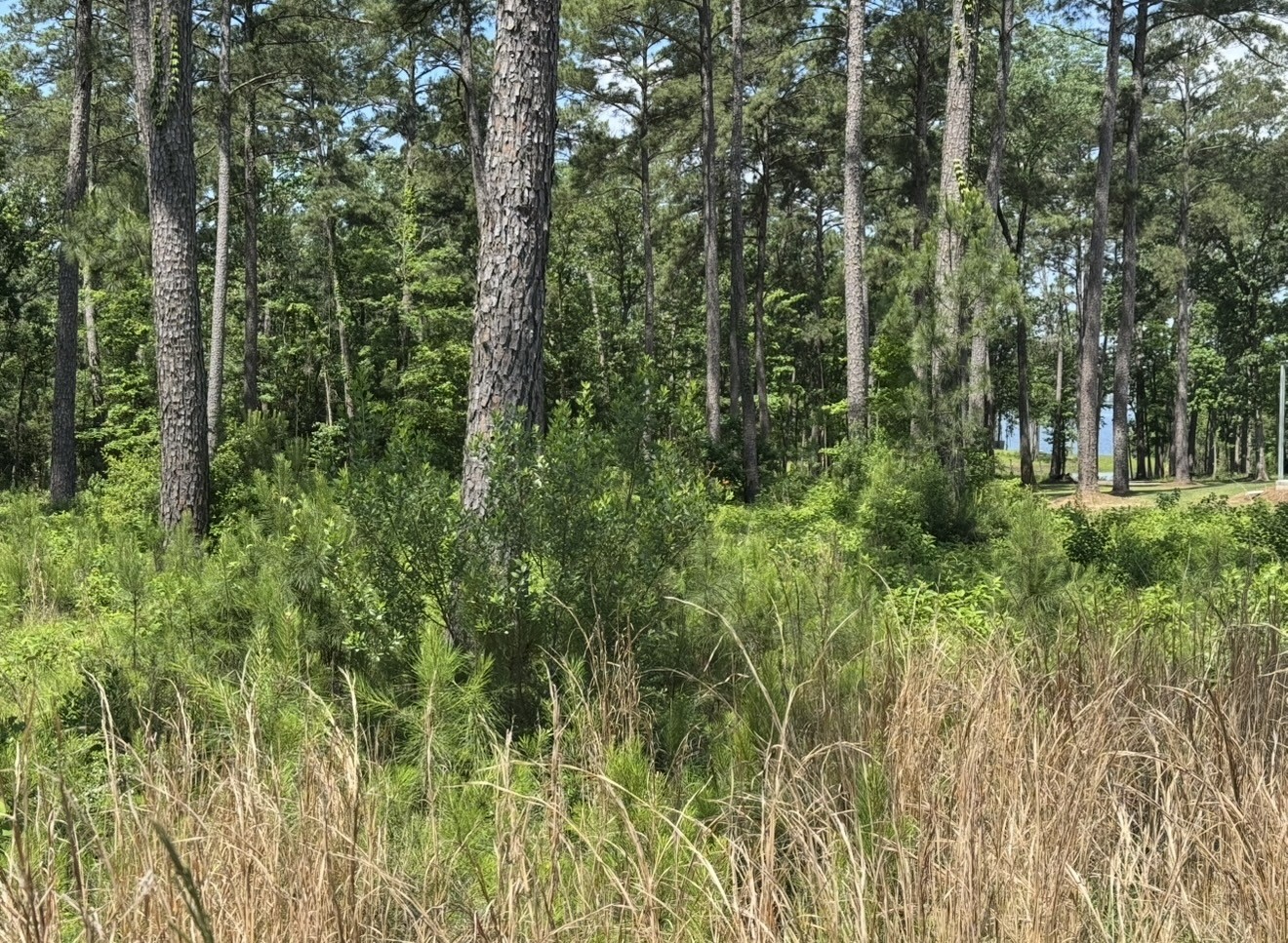 017 Private Road 6028 Property Photo 1