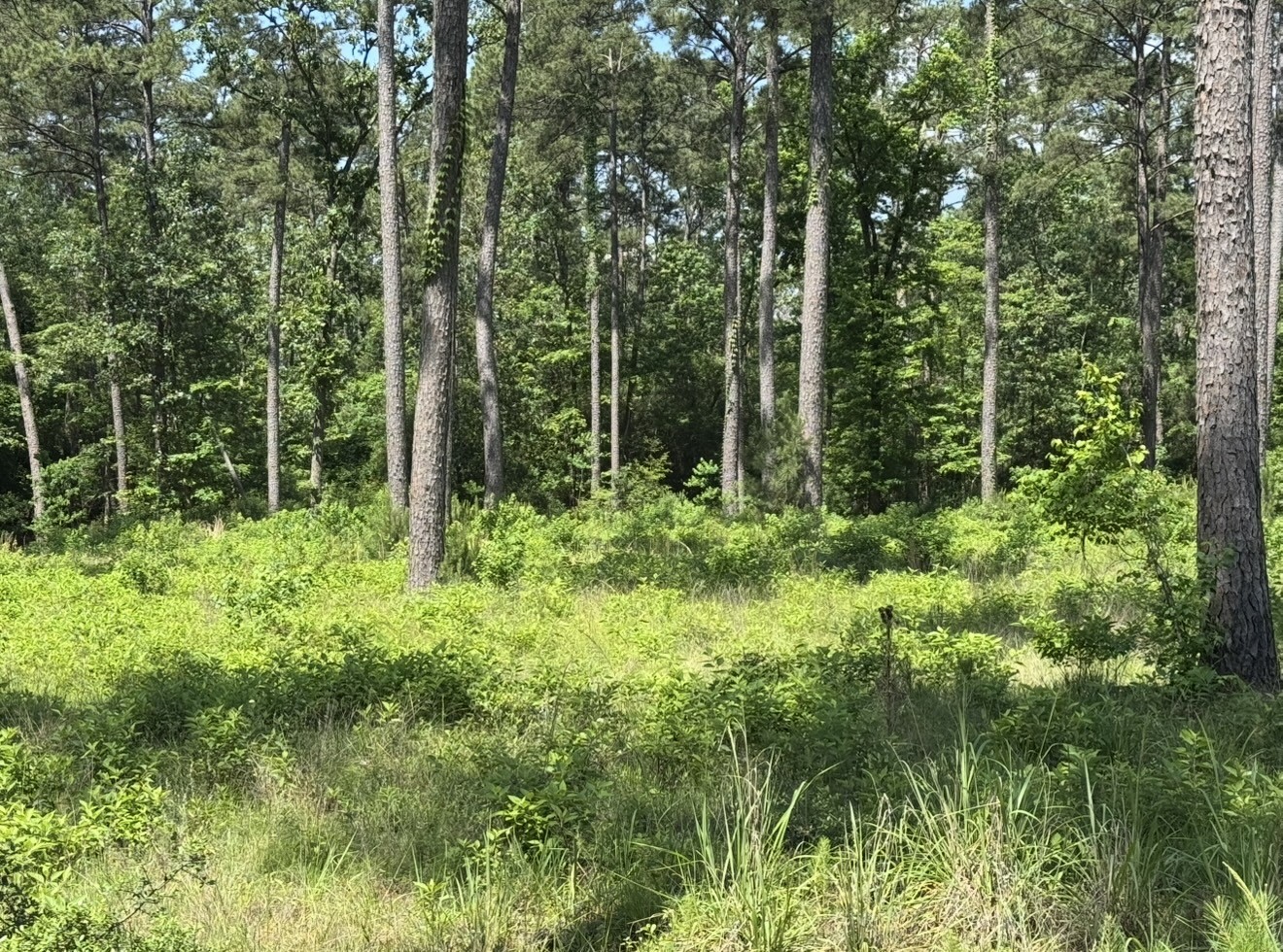 017 Private Road 6028 Property Photo 5