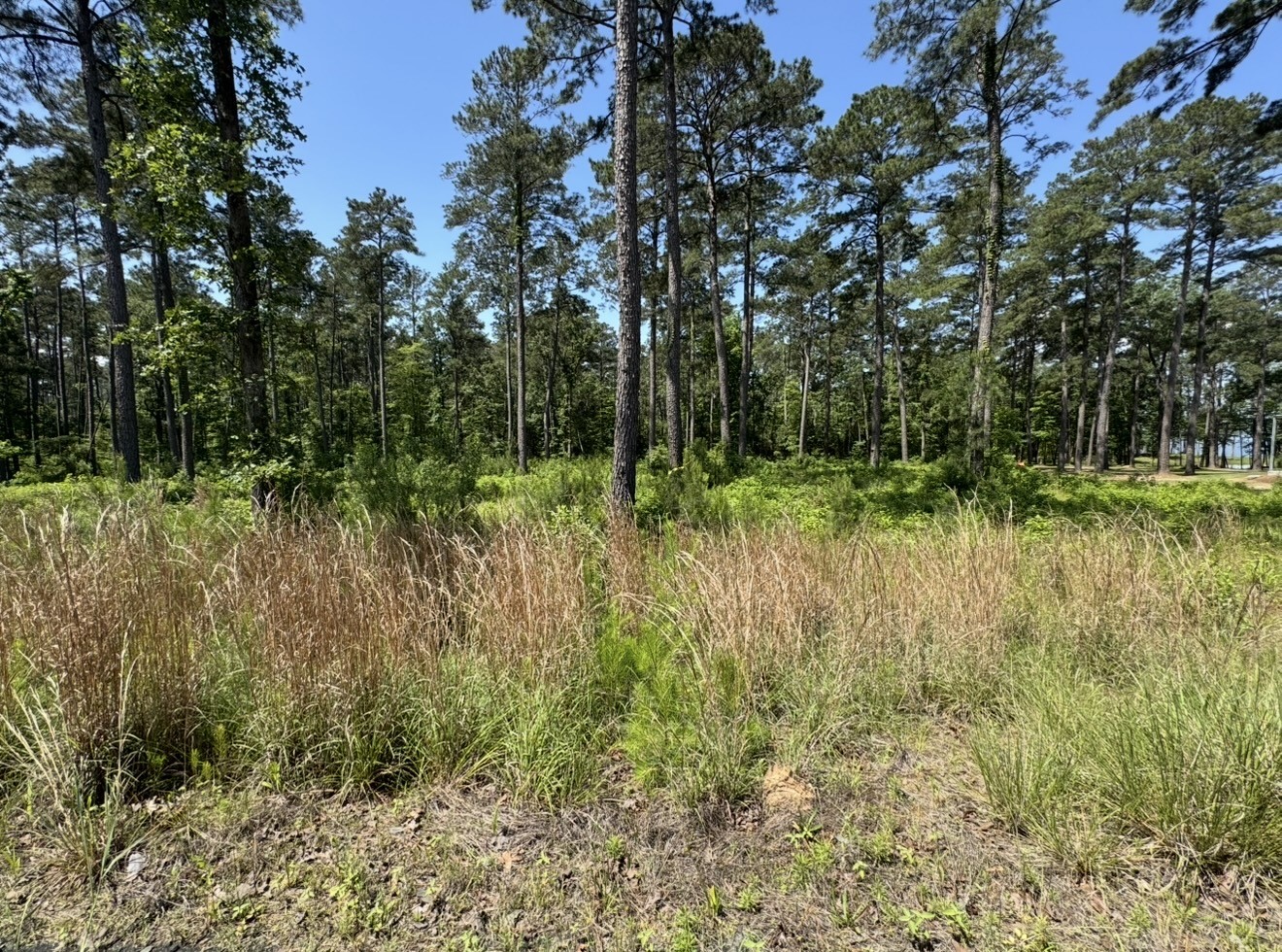 017 Private Road 6028 Property Photo 6