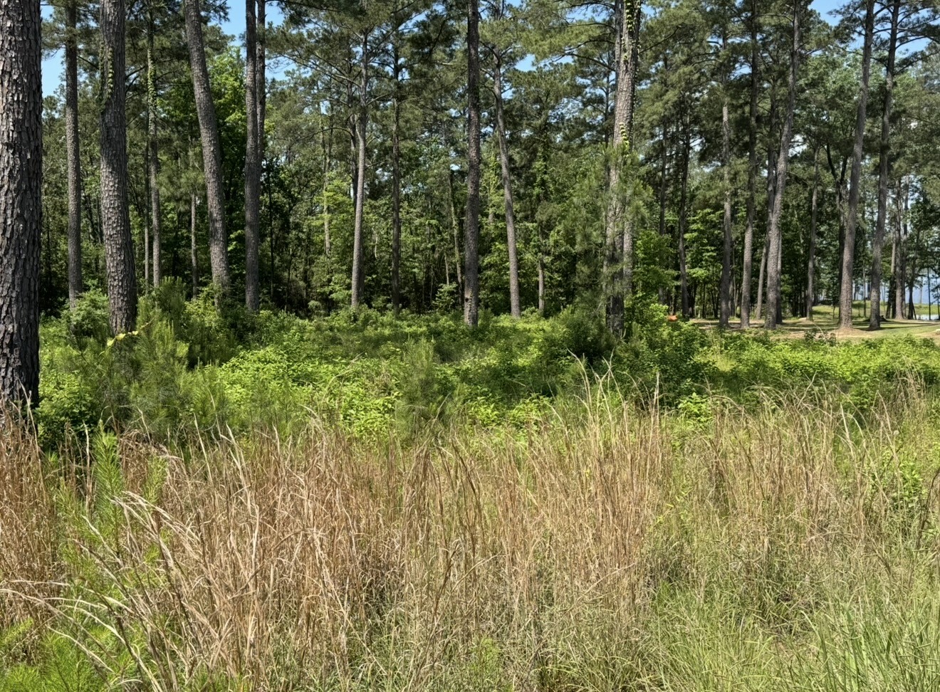 017 Private Road 6028 Property Photo 9