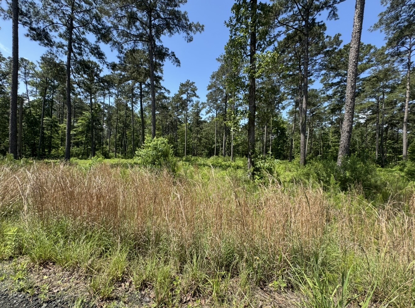 017 Private Road 6028 Property Photo 10