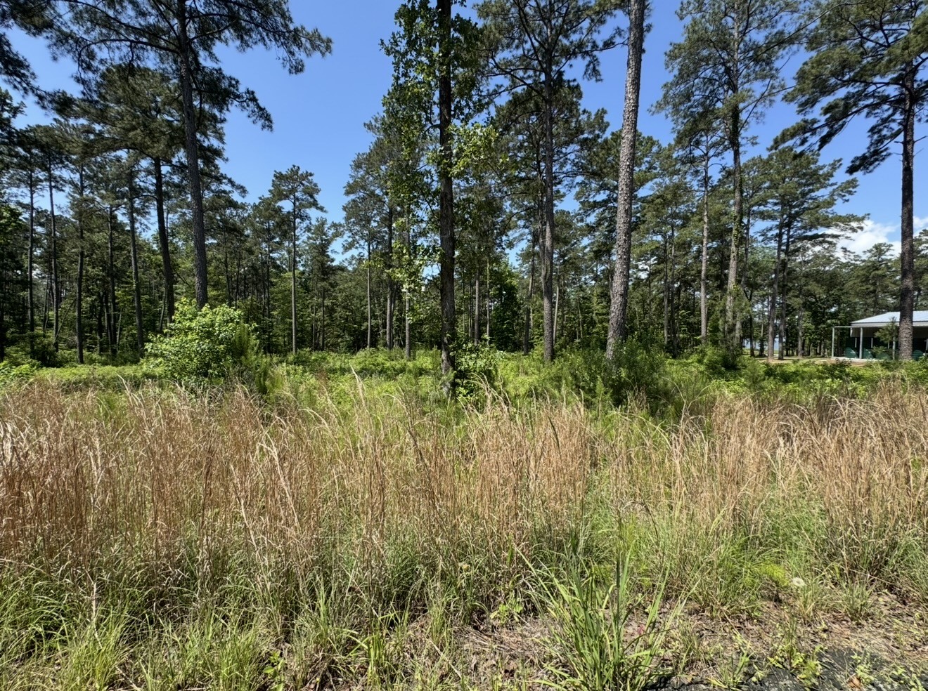 017 Private Road 6028 Property Photo 11