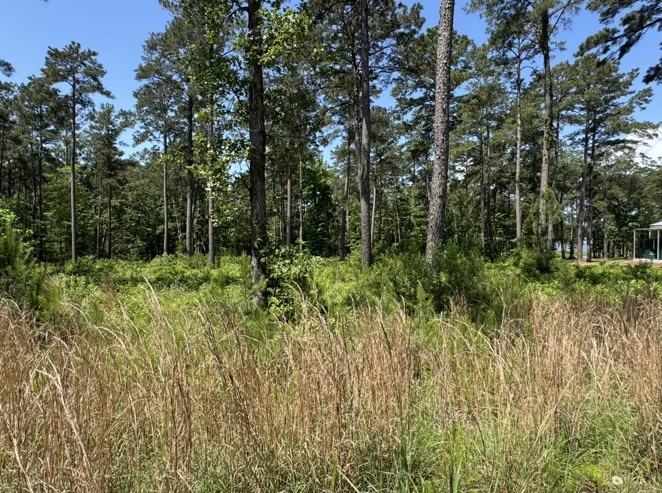 017 Private Road 6028 Property Photo 12
