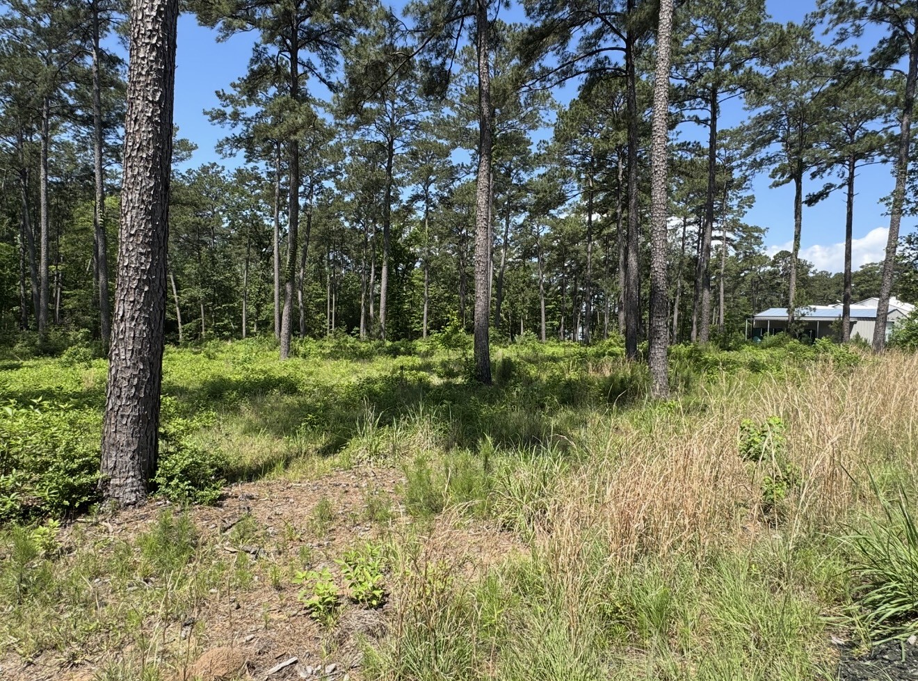 017 Private Road 6028 Property Photo 14