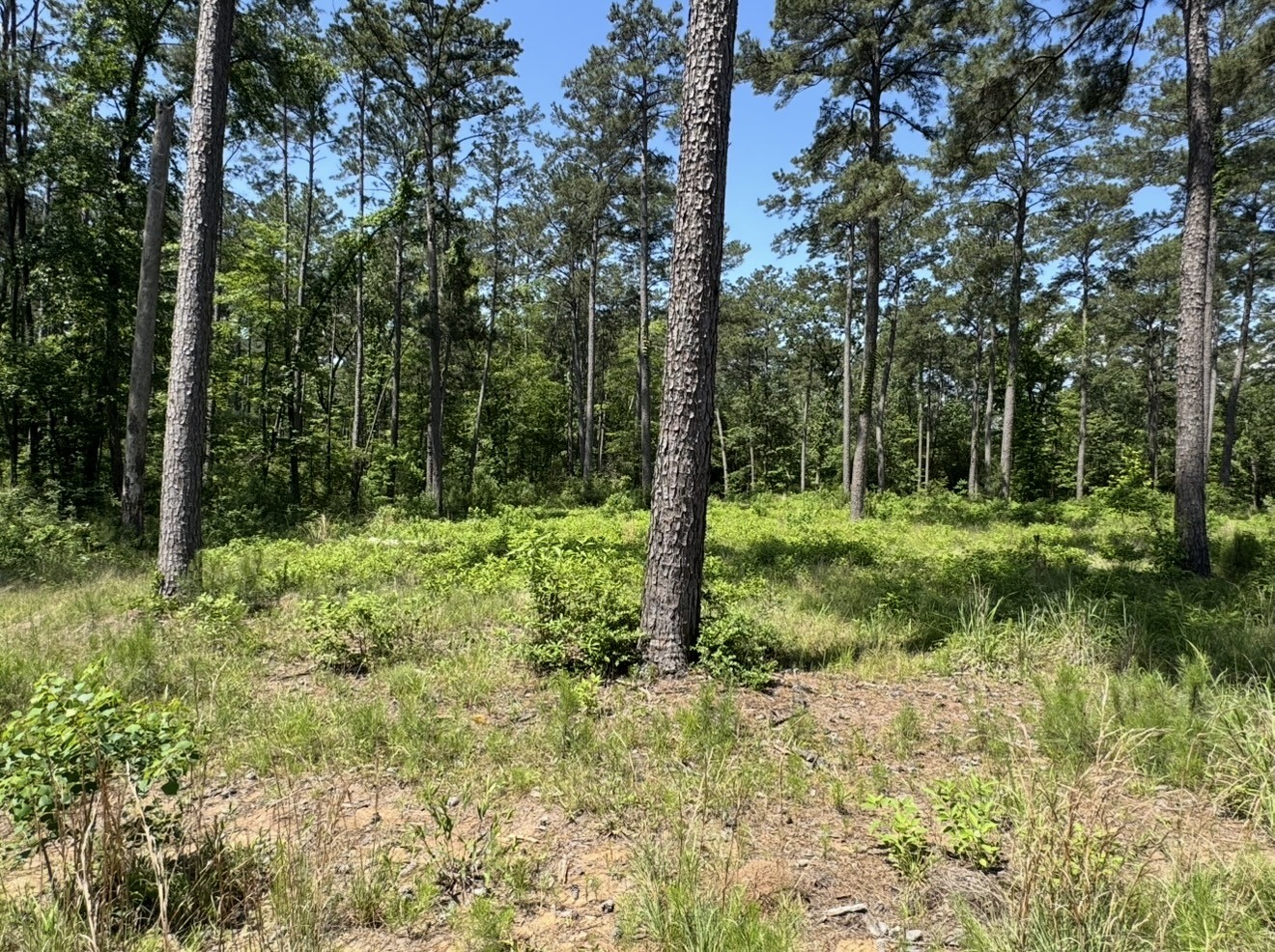 017 Private Road 6028 Property Photo 15