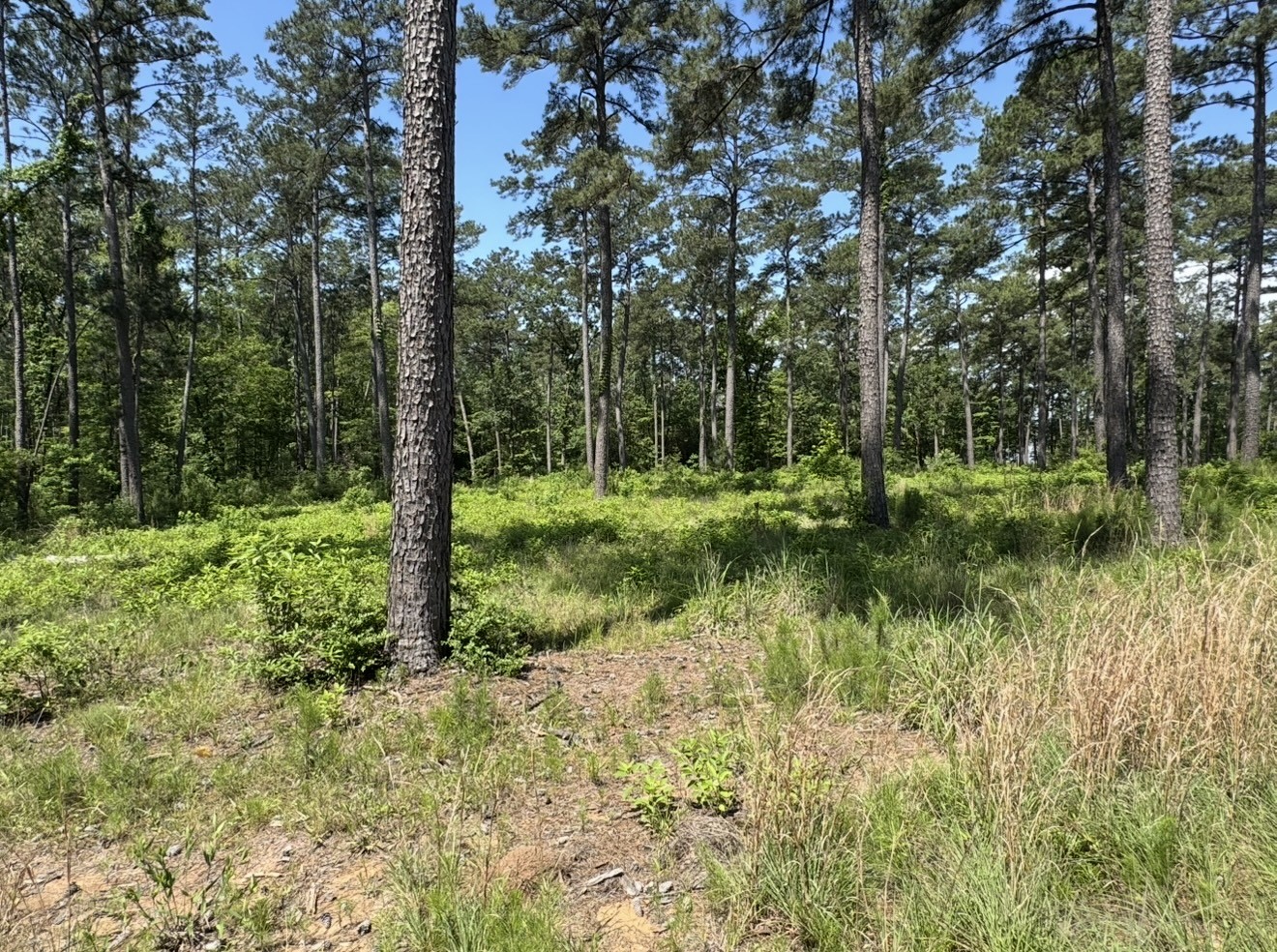 017 Private Road 6028 Property Photo 16