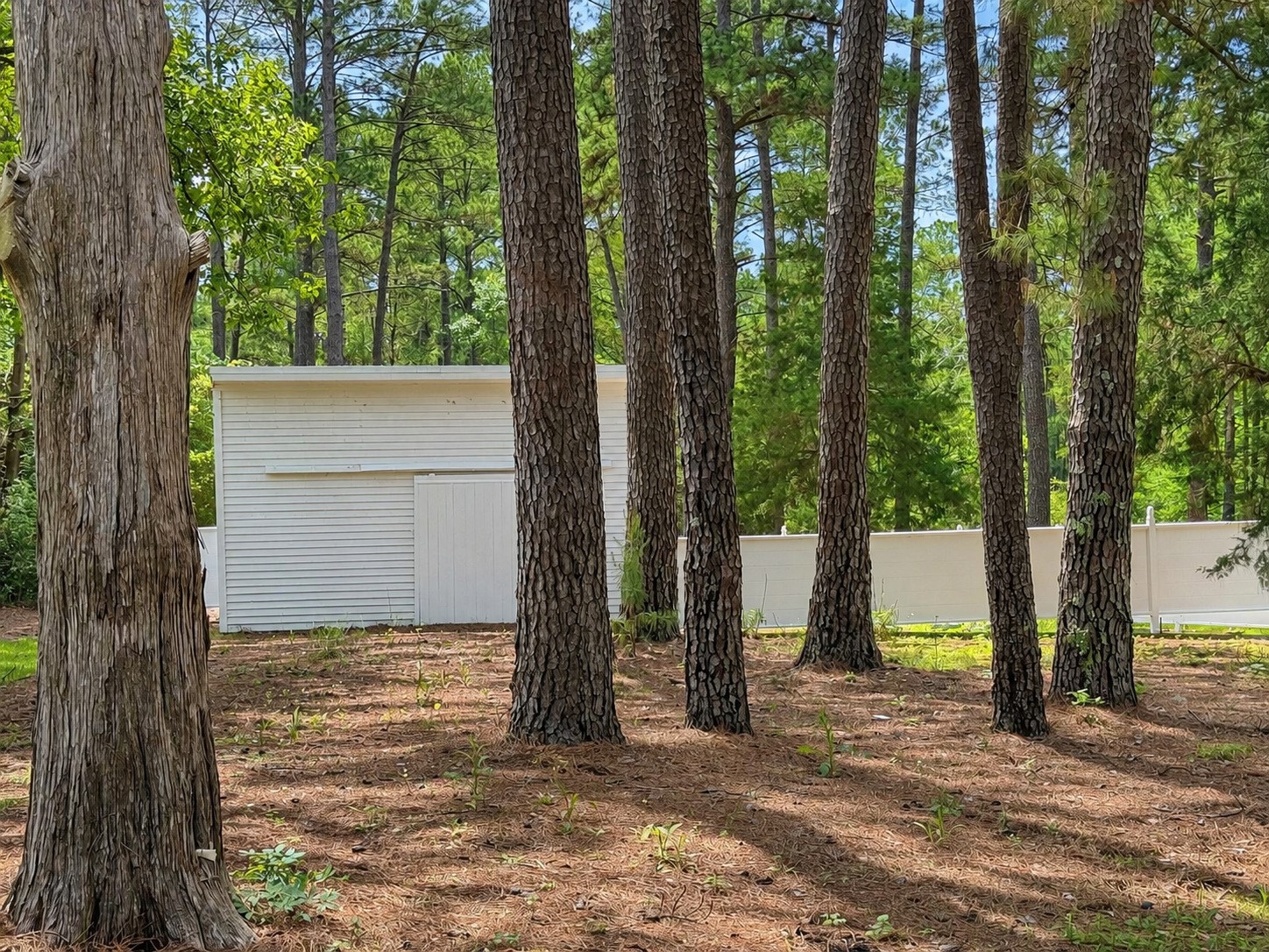 1539 Weishuhn Road Property Photo 41