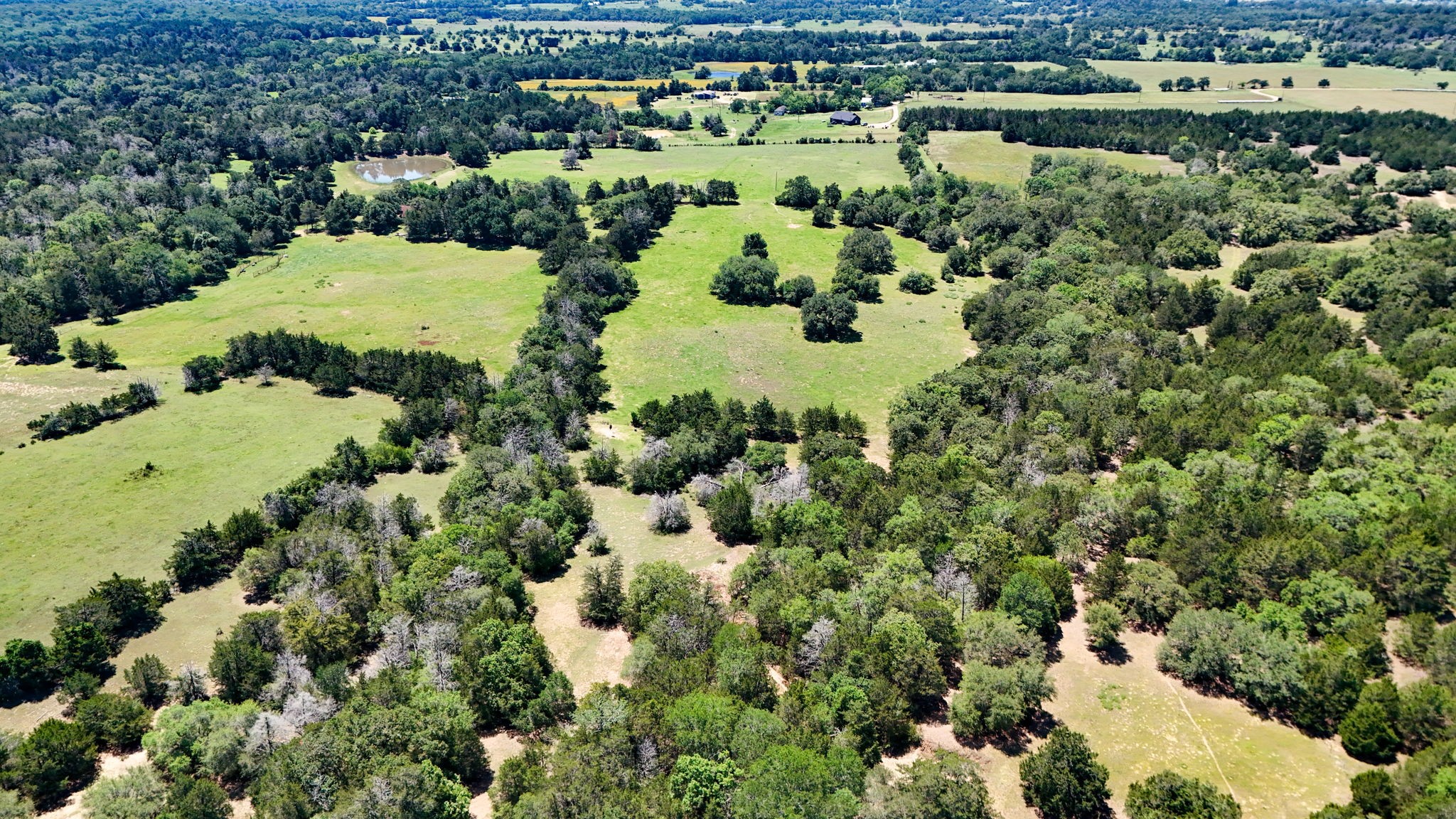 Tbd Ehlinger Road Property Photo 3